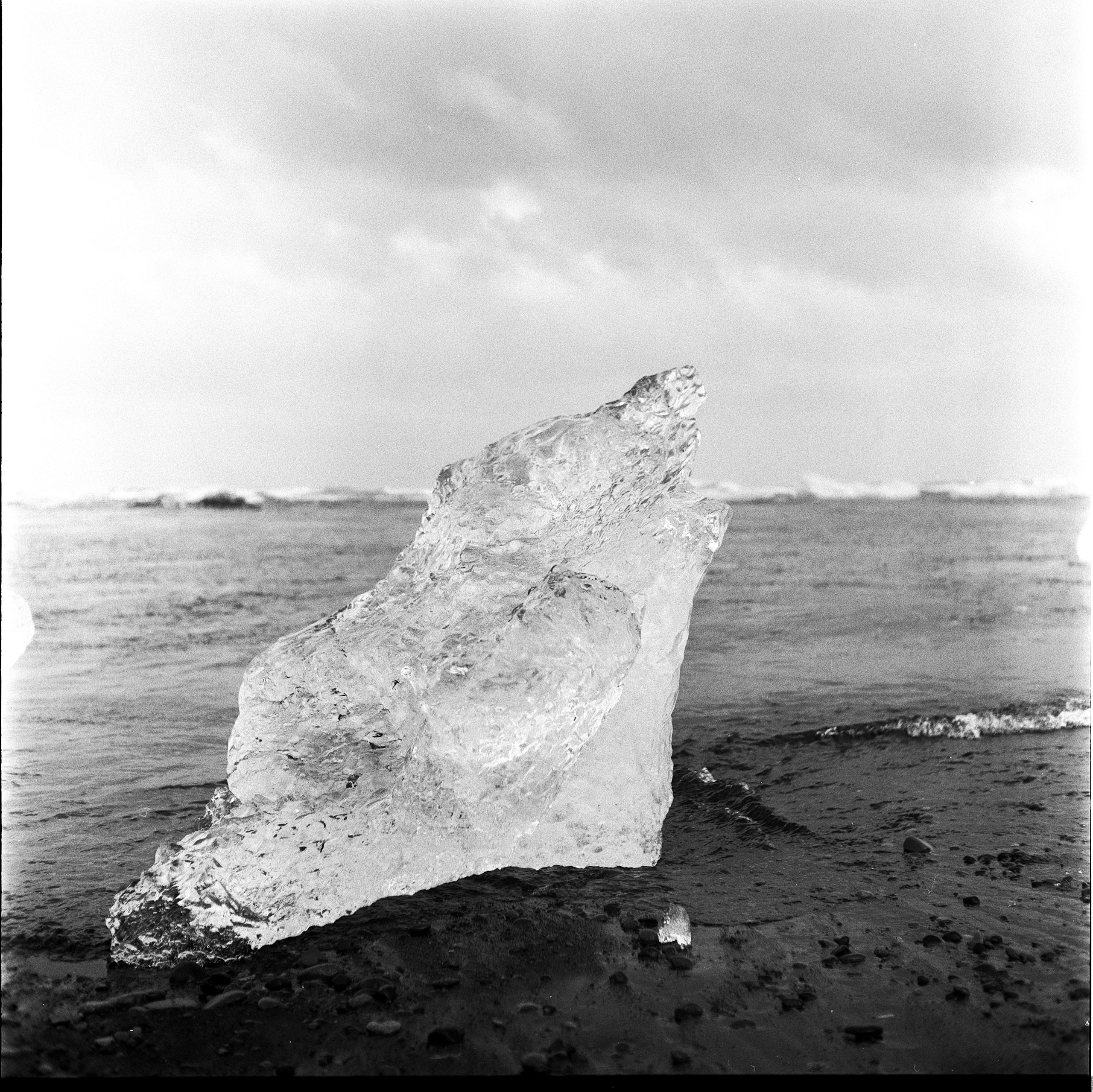 2026-05-still-life-award-image-15