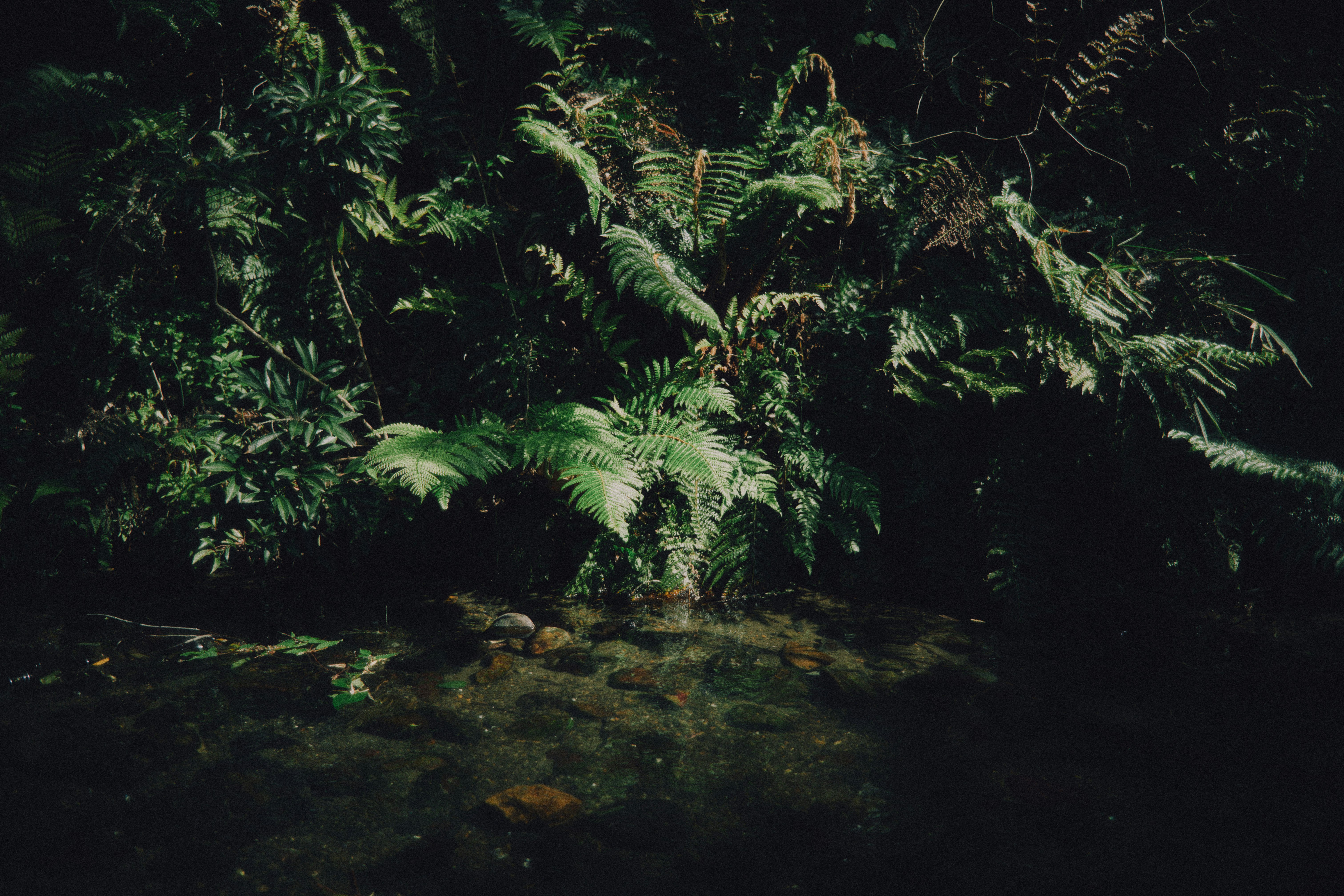 2025-10-film-grain-digital-texture-cover-image