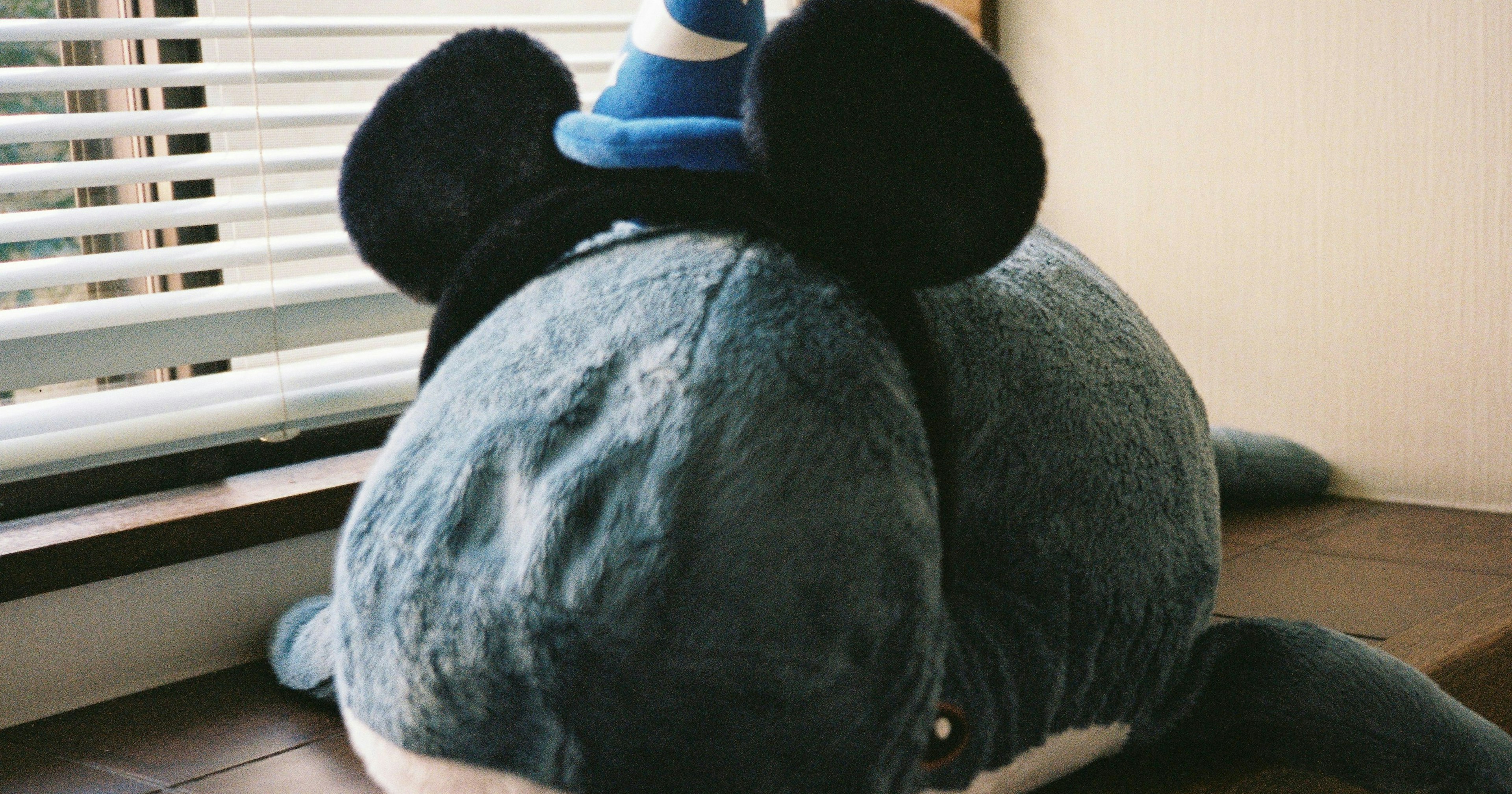 2024-12-nui-photography-tips-cover-image