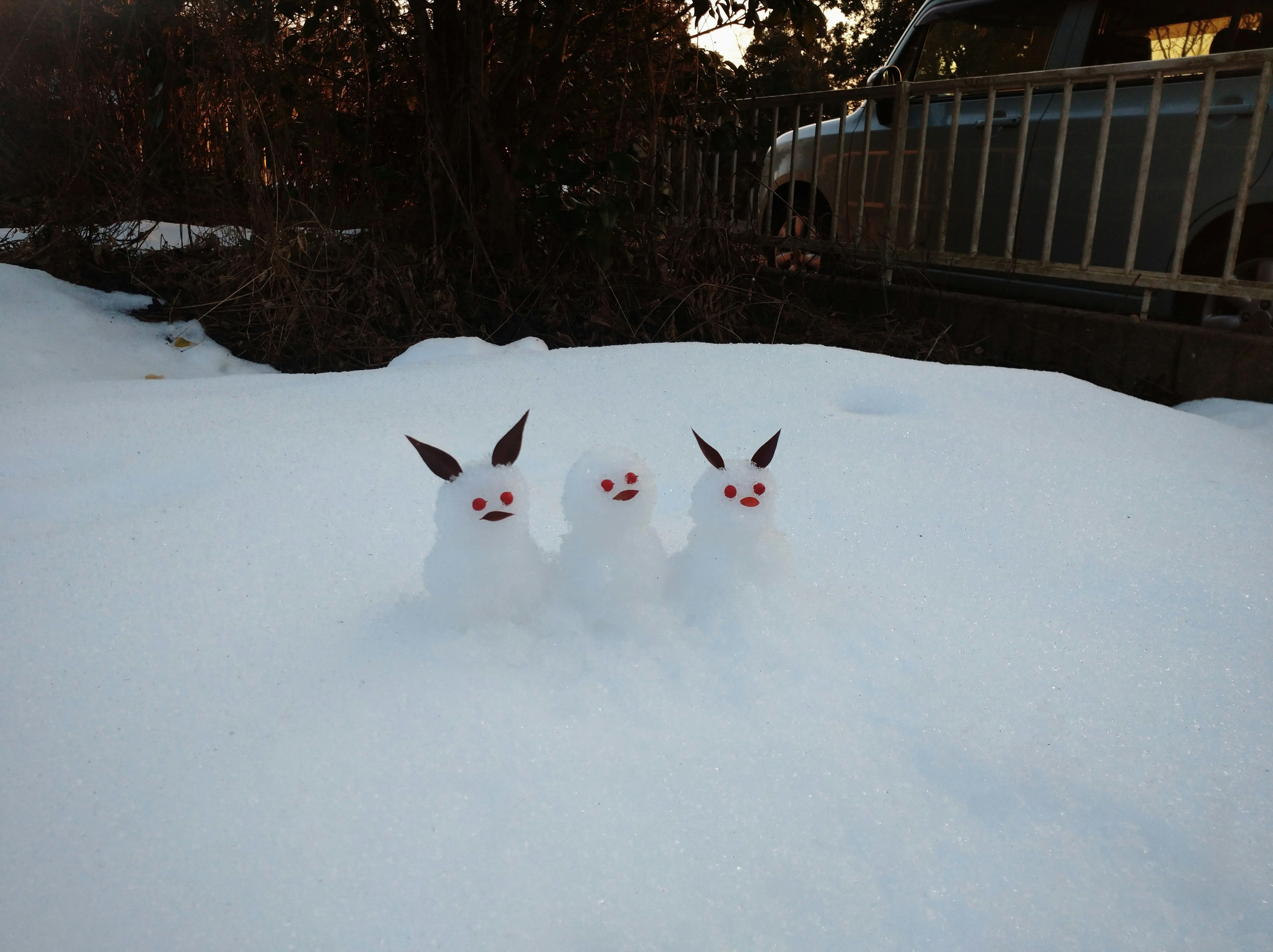 2026-03-snow-report-cover-image