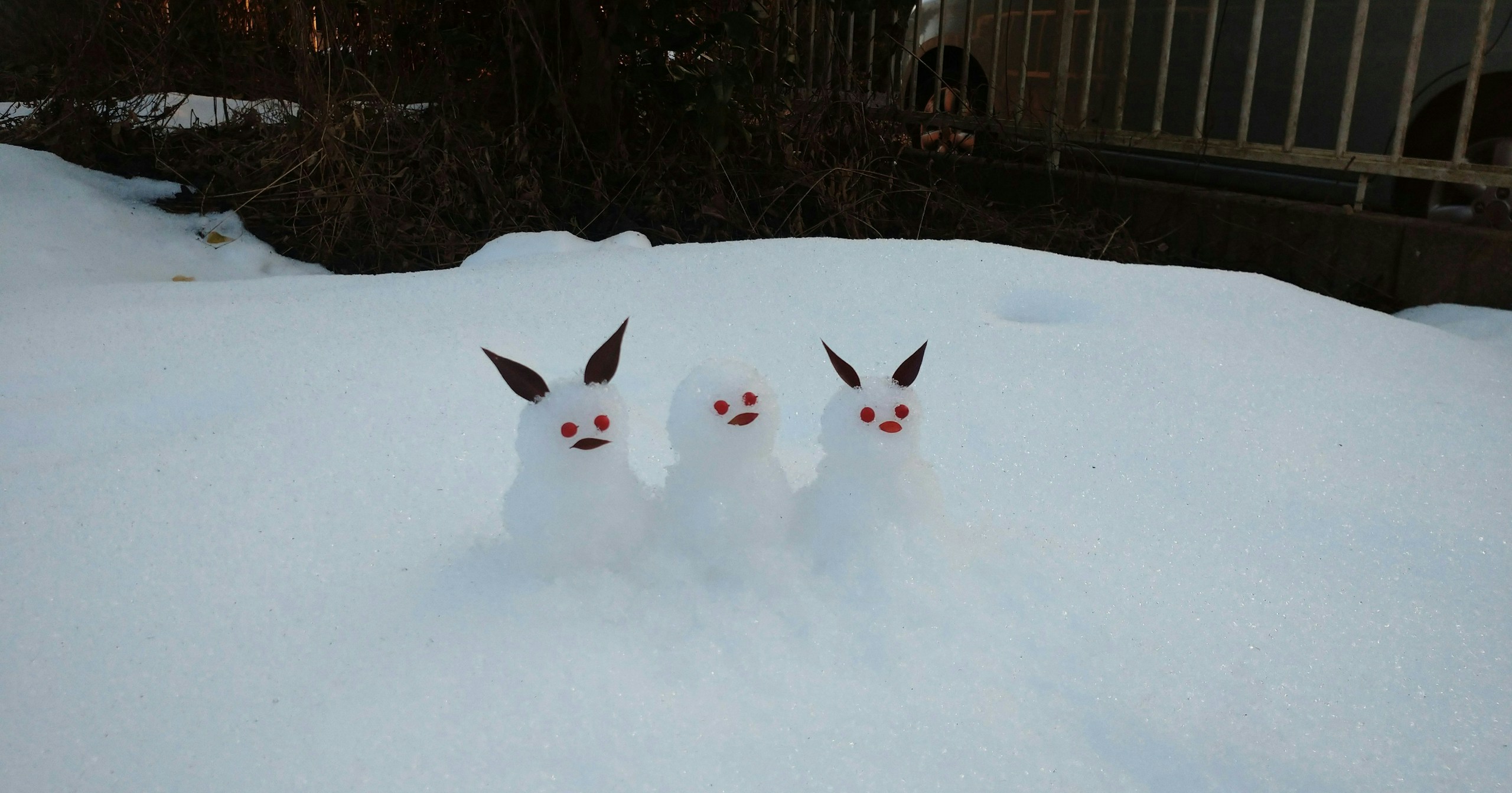 #snow | The Fleeting Splendor of the Snow-Covered World | Focus #621