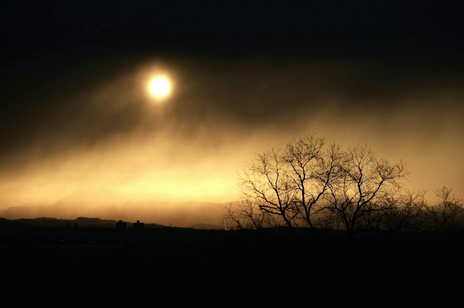 2025-02-fog-photography-image-8