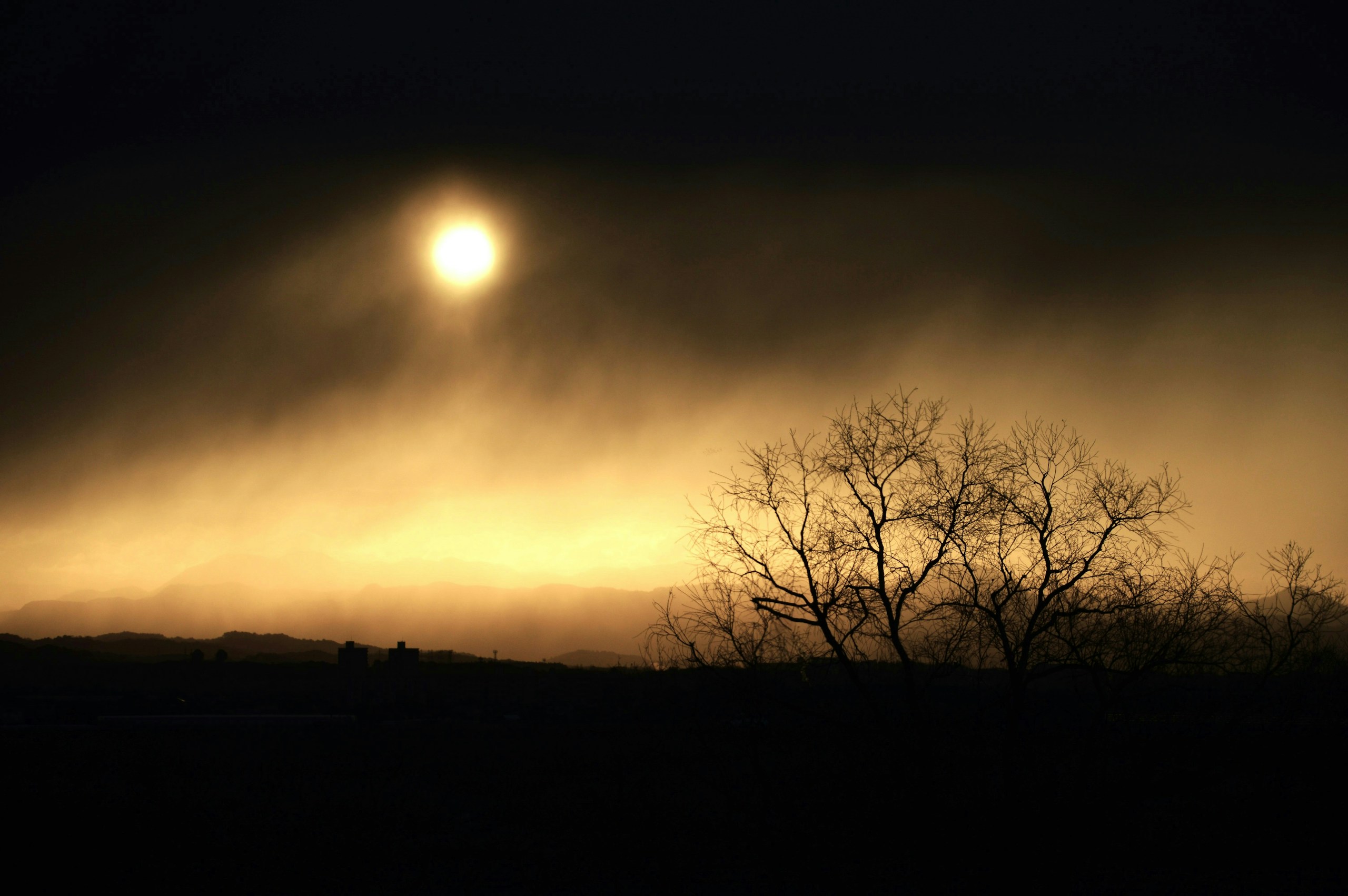 2025-02-fog-photography-image-8