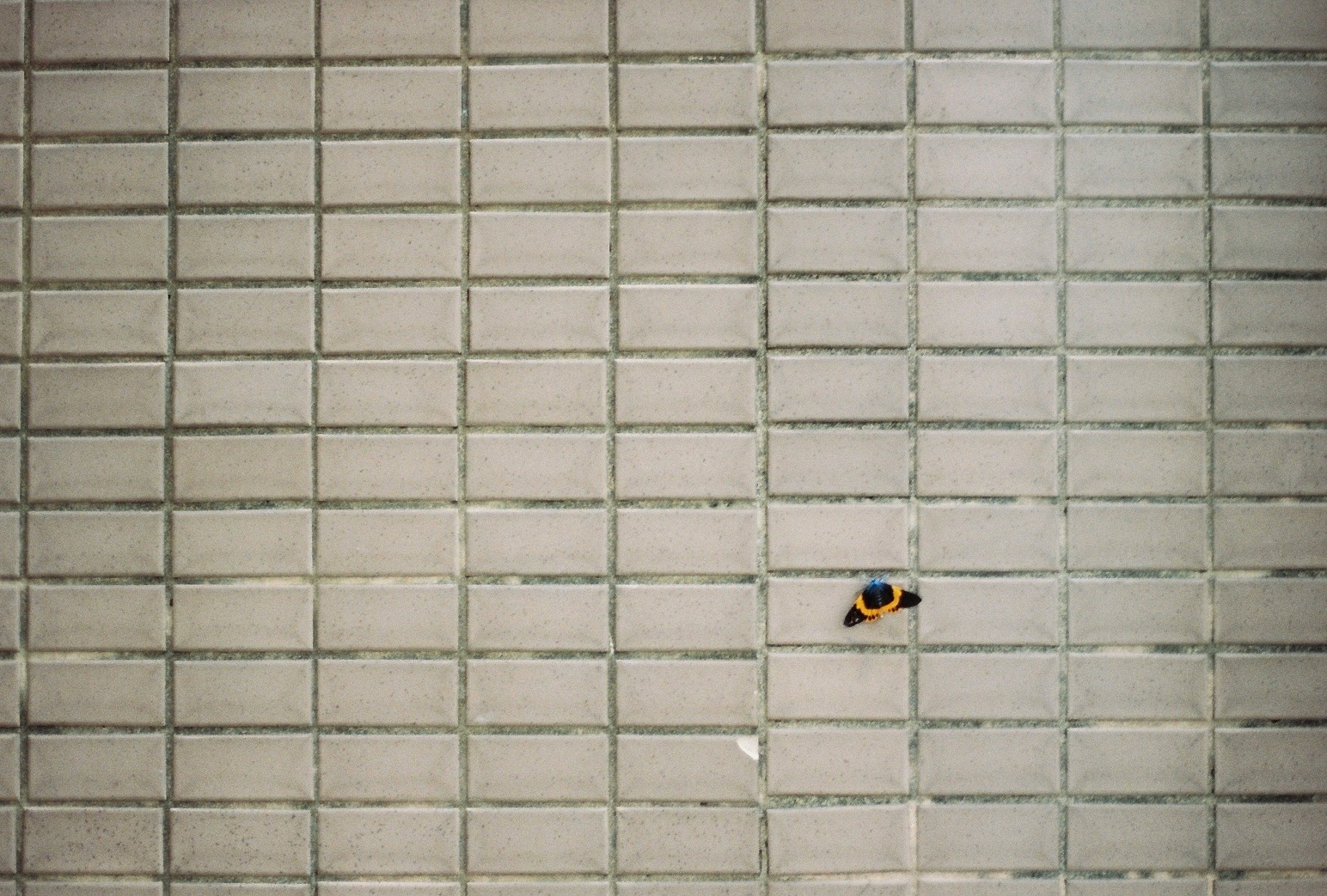2026-07-nothing-but-one-image-8