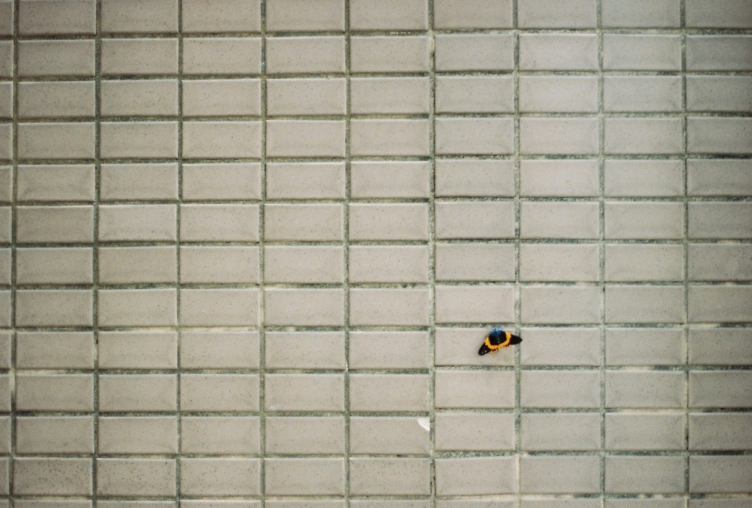 2026-07-nothing-but-one-image-8