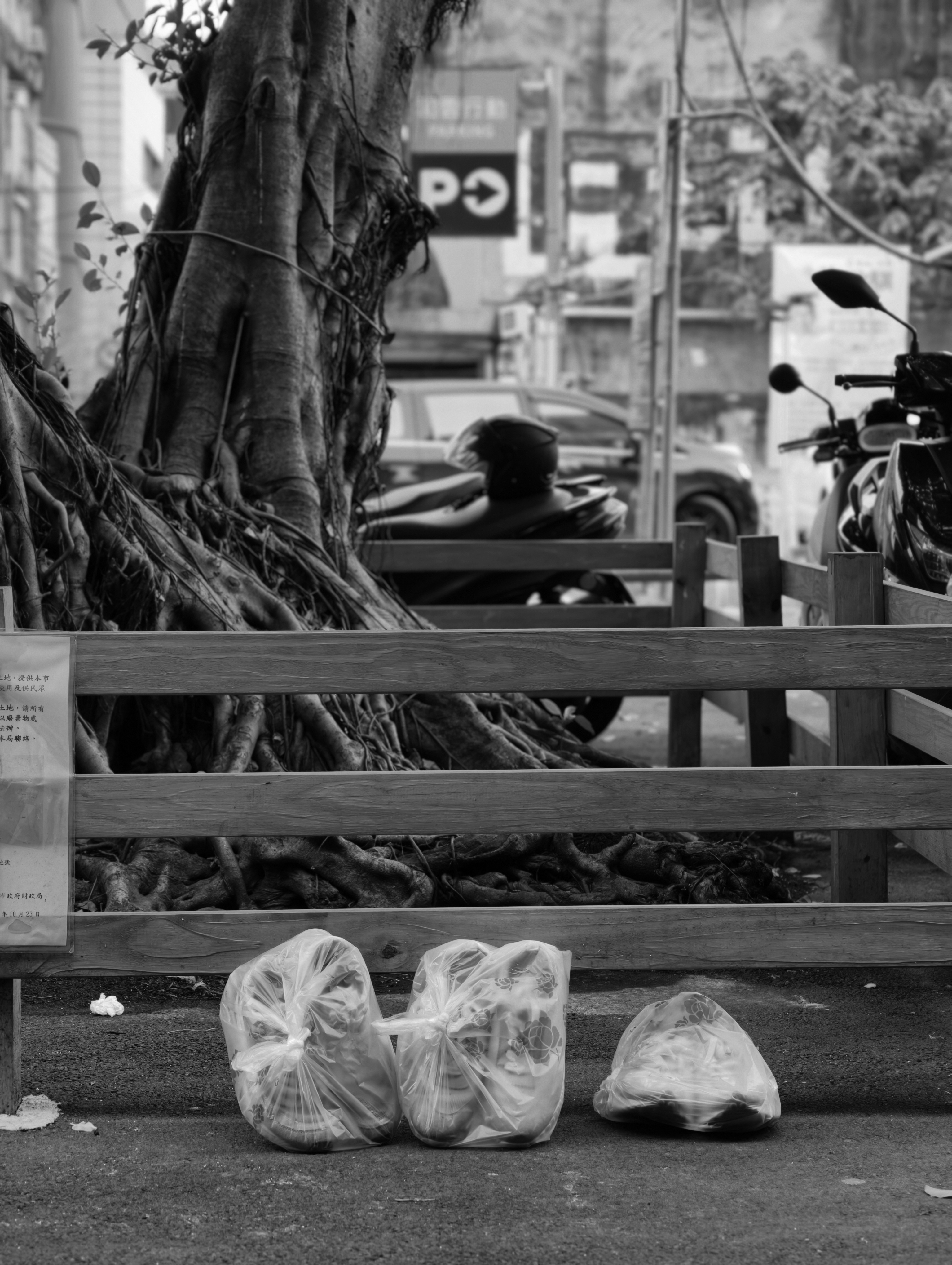 2026-05-read-your-photography-farewell-circle-image-6