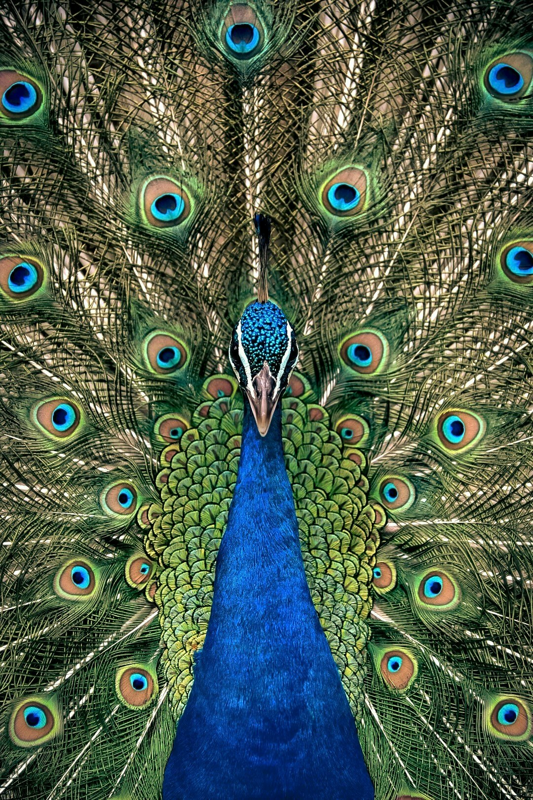 2025-03-photo-contest-pr-2-image-9