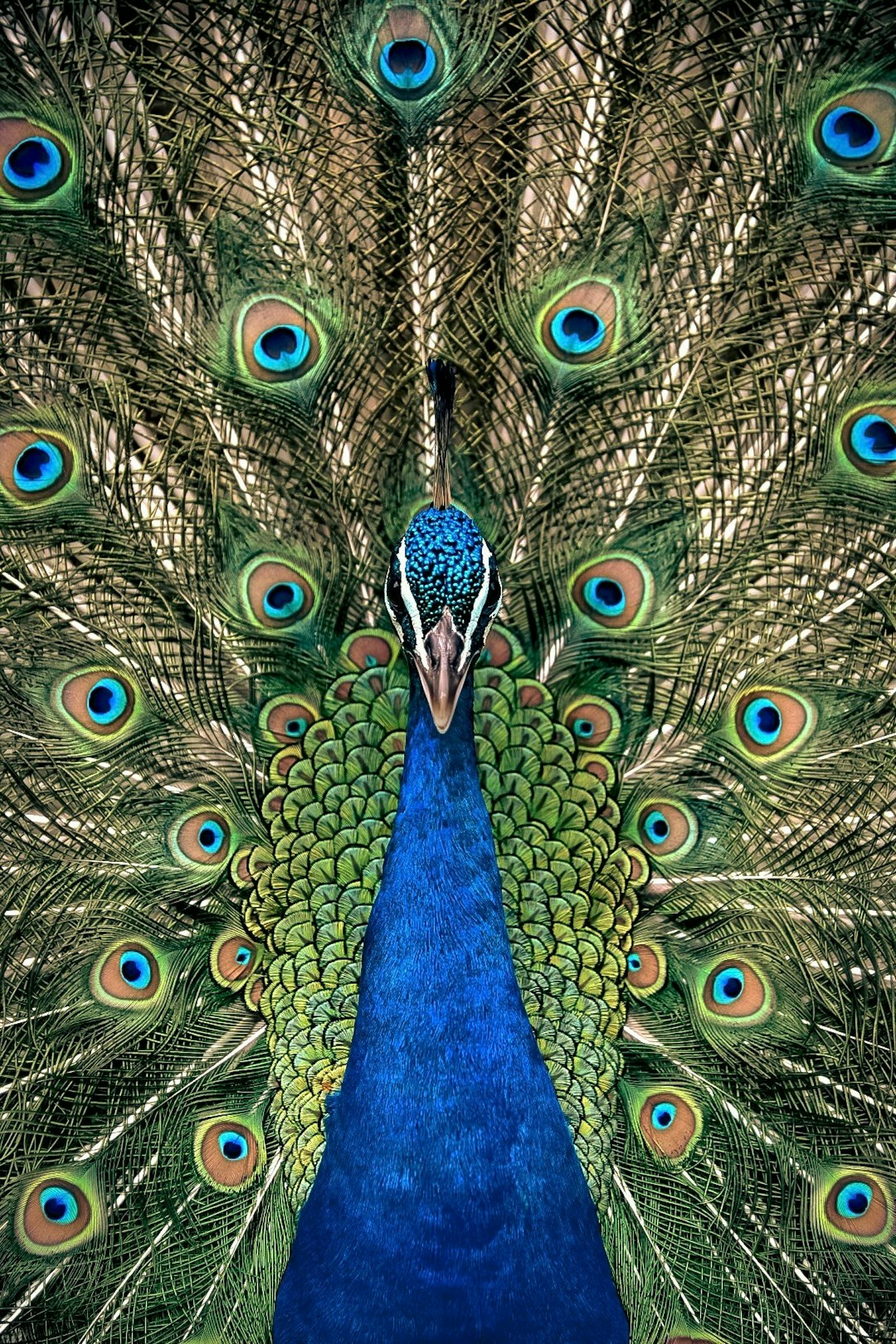 2025-03-photo-contest-pr-2-image-9