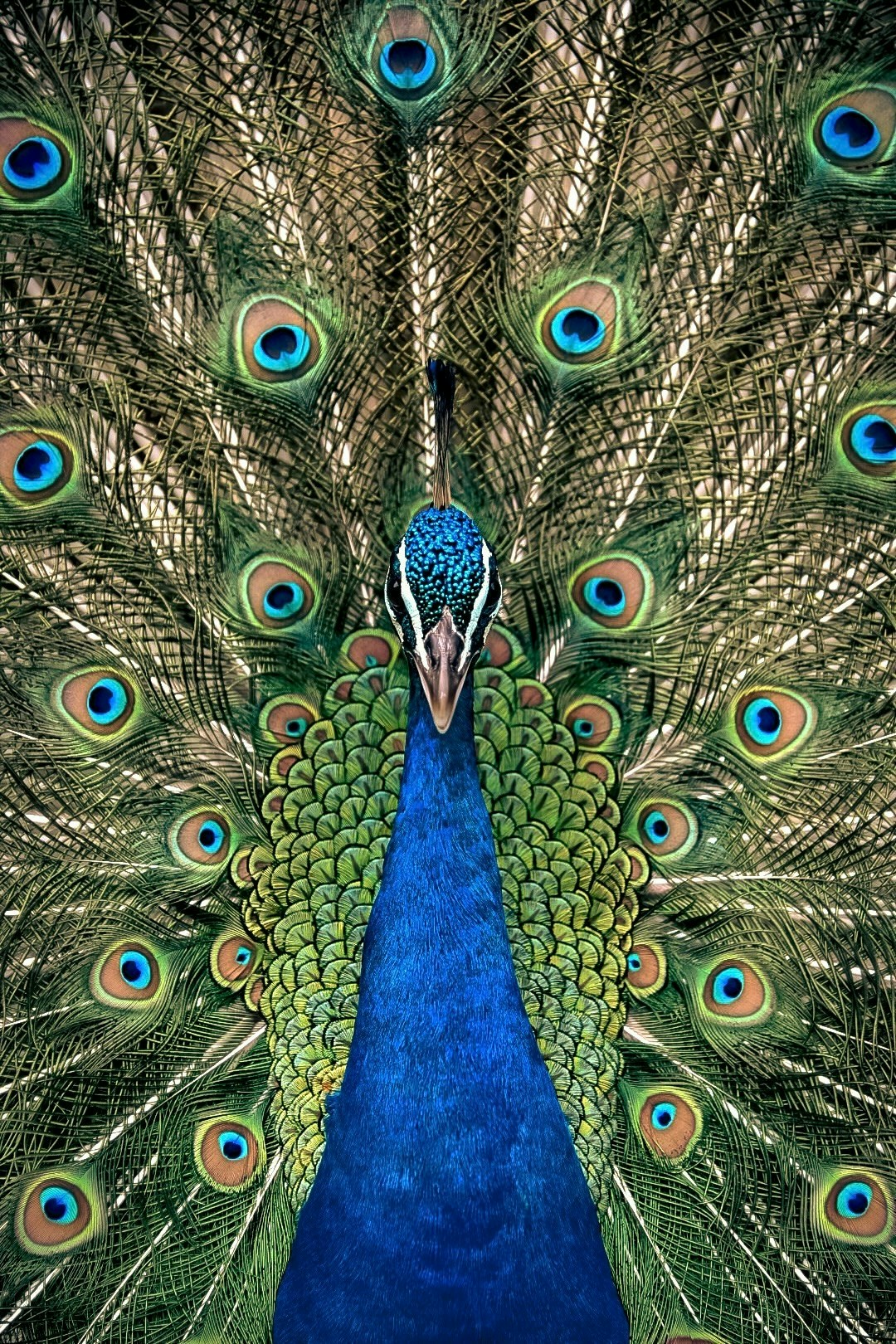 2025-03-photo-contest-pr-2-image-9