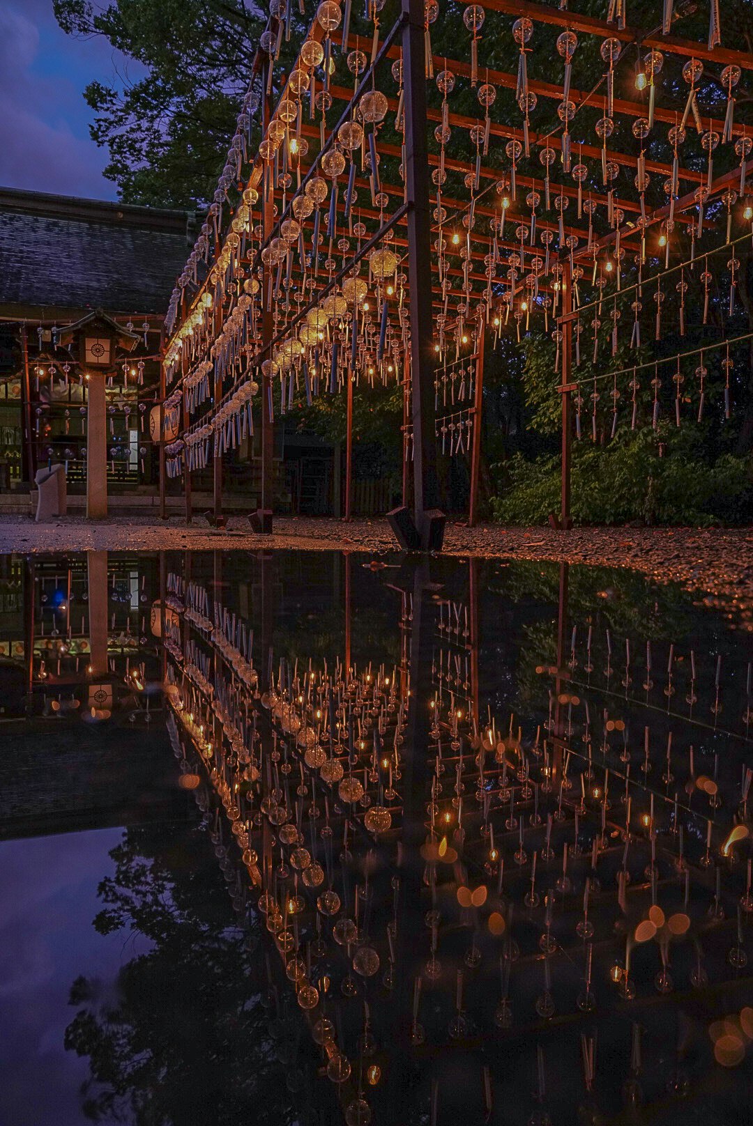 2024-08-water-scenes-award-image-8