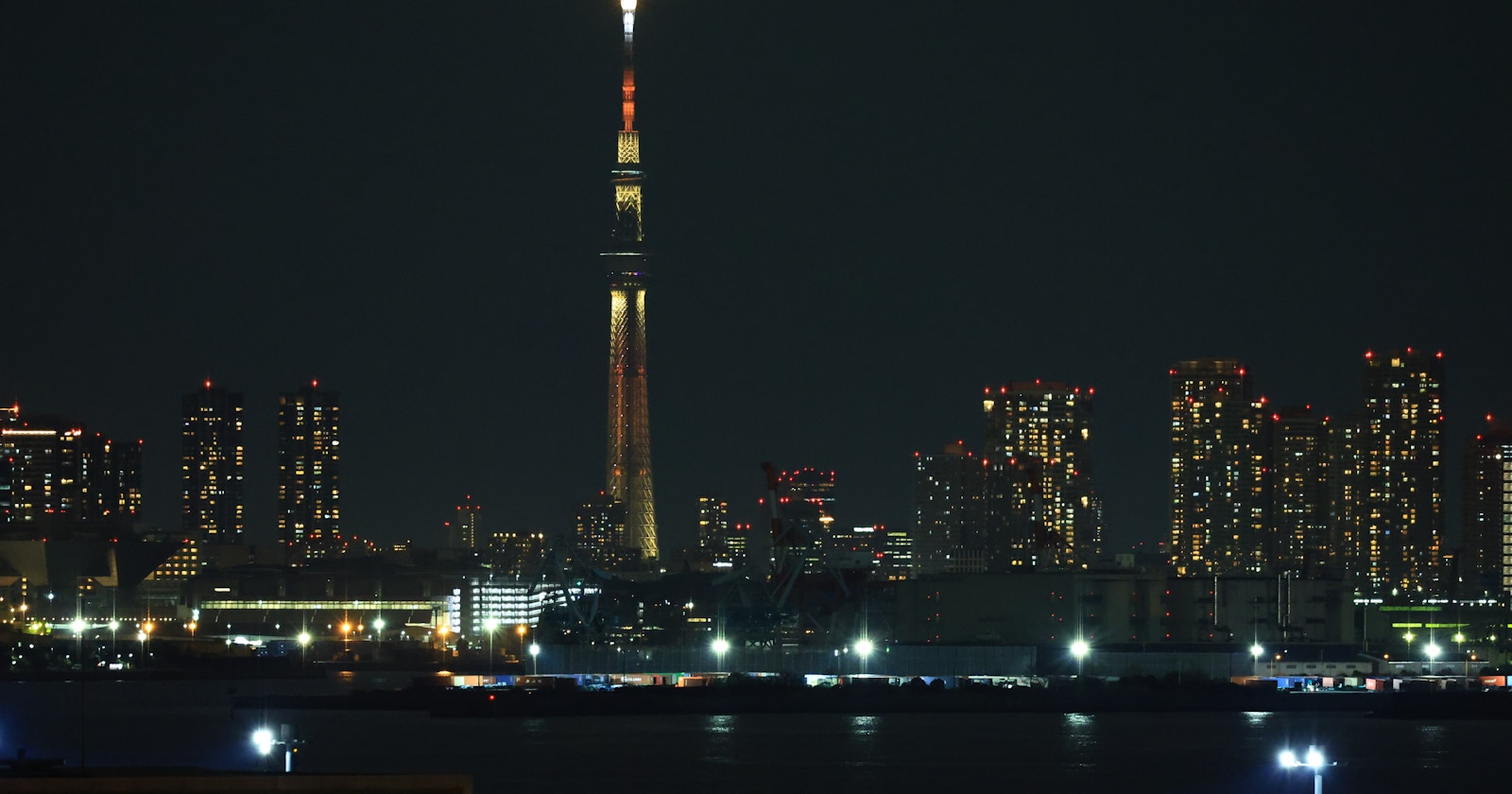 Where the Night Leads: Ways to Spend the Night | Focus #51