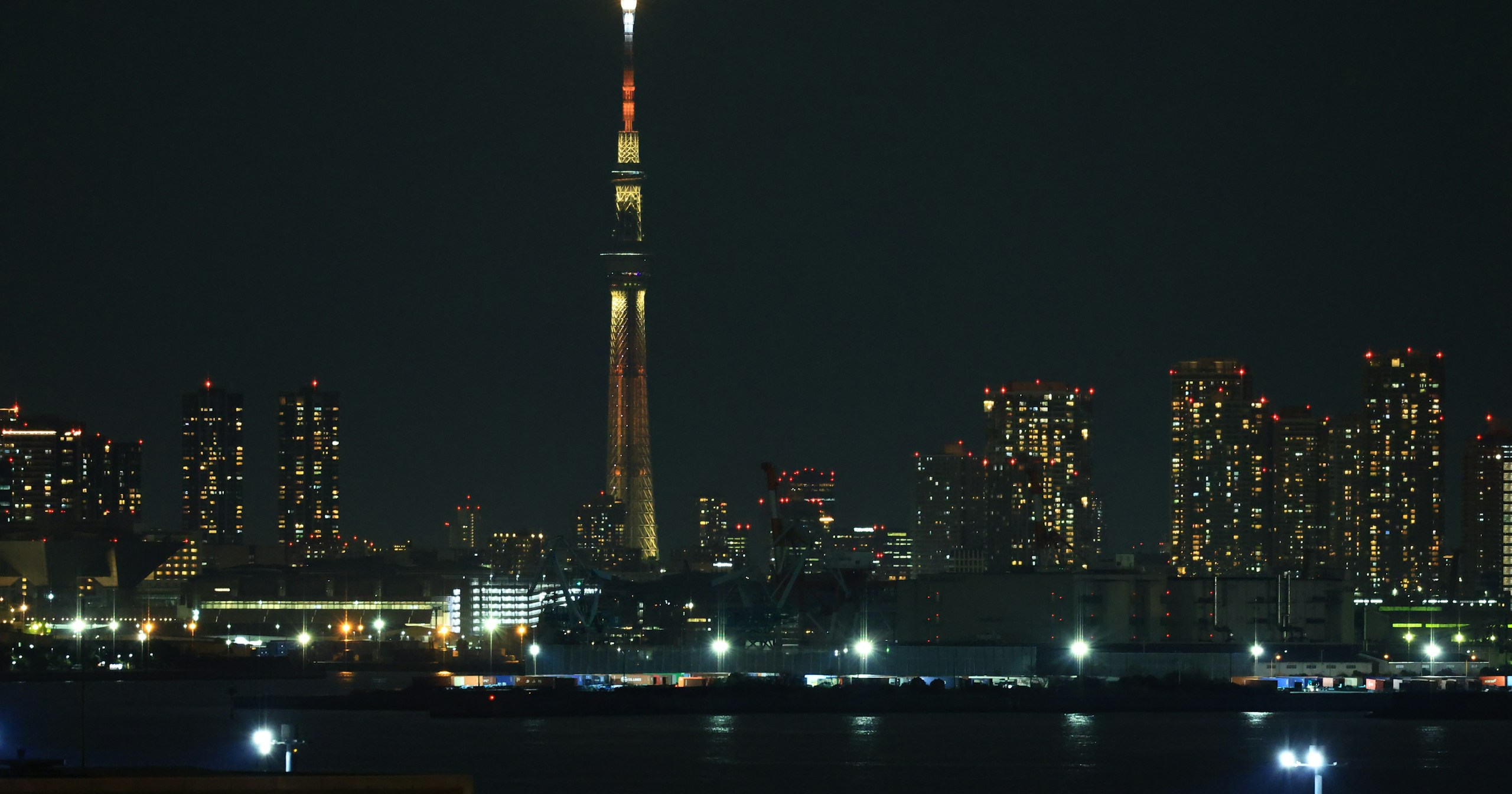 Where the Night Leads: Ways to Spend the Night | Focus #51