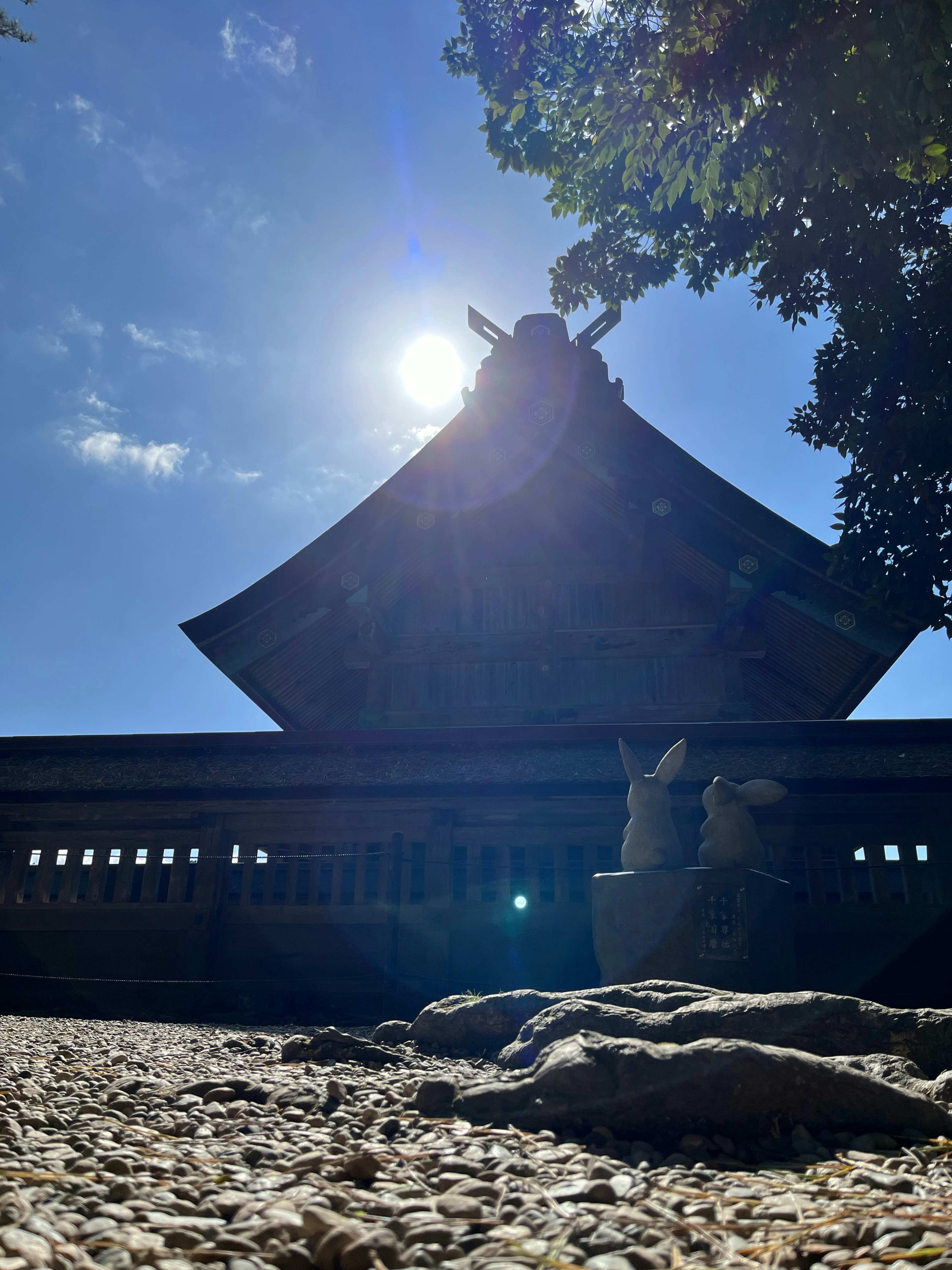 2024-11-izumo-taisha-image-9