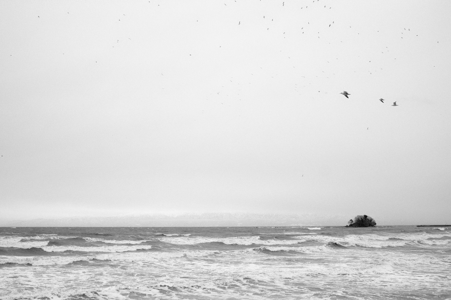 2025-08-high-iso-photography-image-4