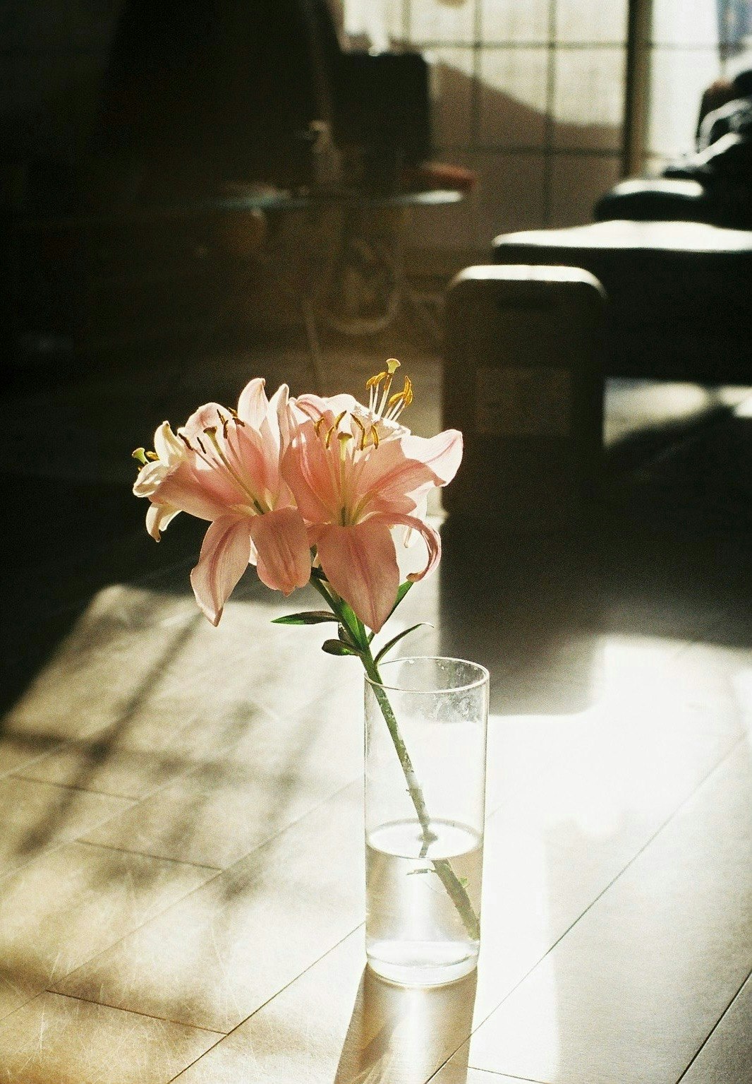 2025-04-spring-awakening-award-image-10