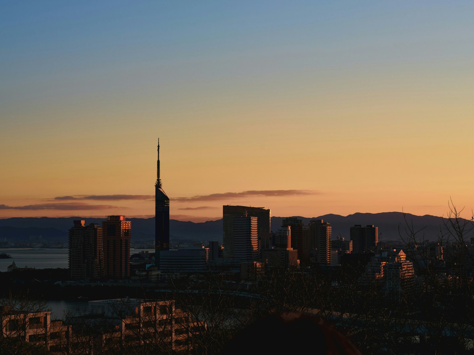 2025-03-fukuoka-image-14