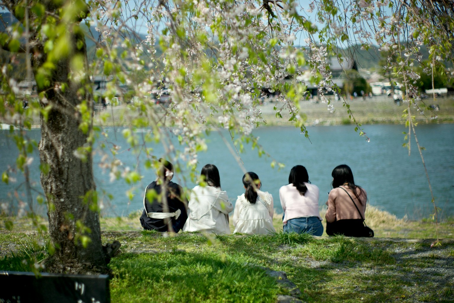 2025-09-parks-vibes-image-4