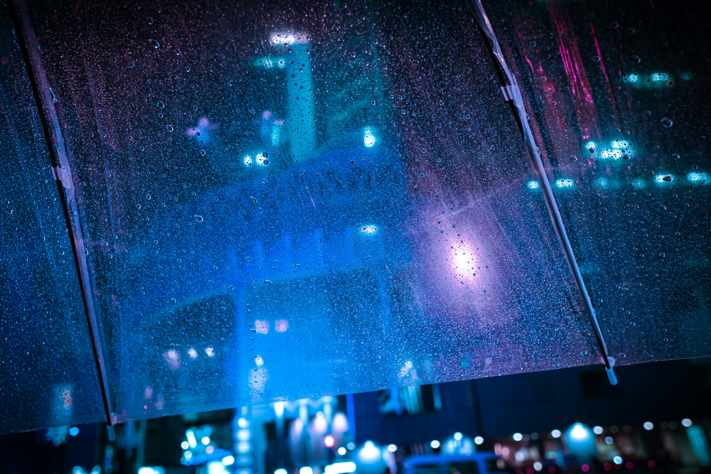 2026-07-night-image-5