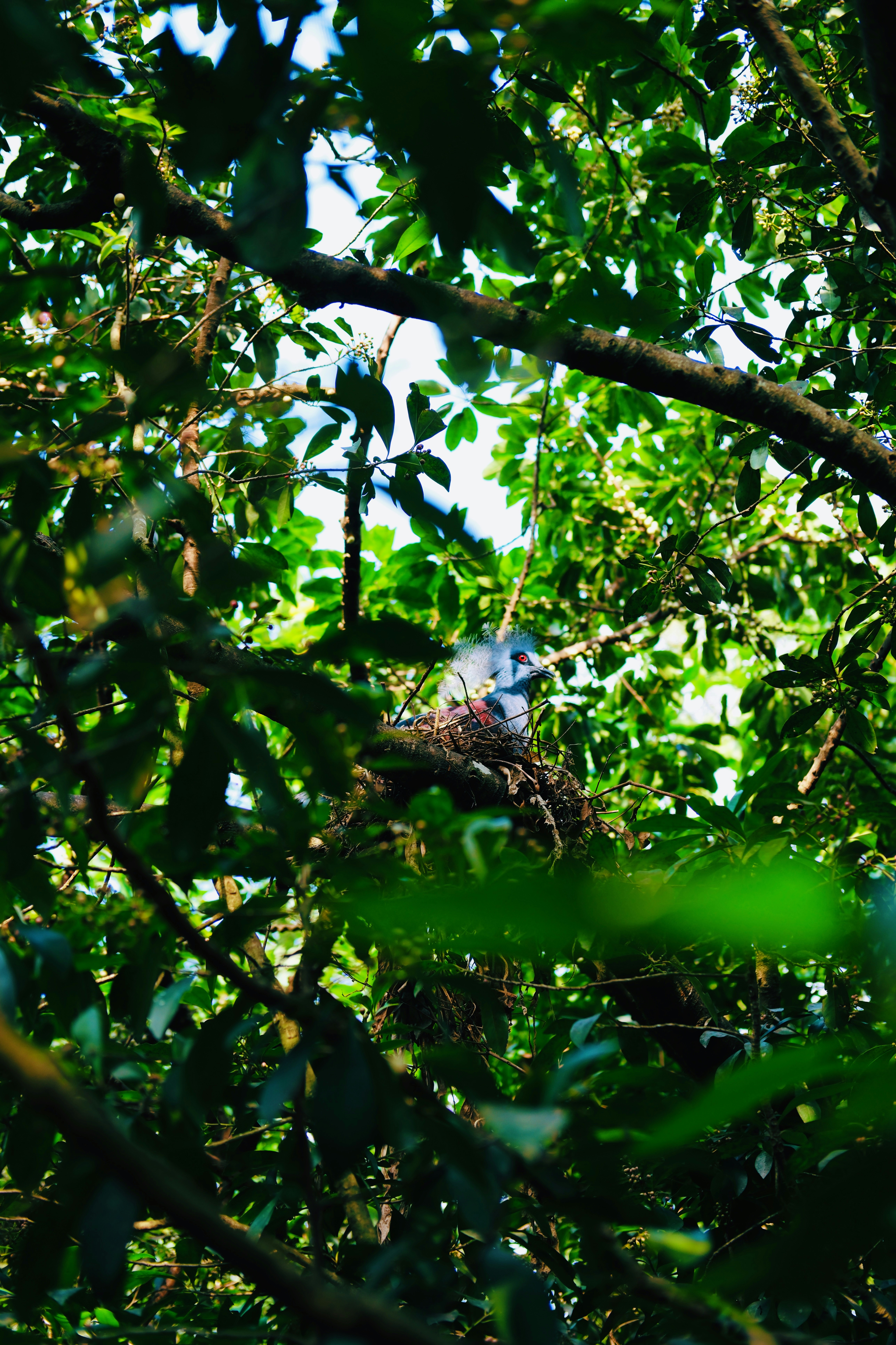 2026-07-find-new-pieces-wild-birds-image-10
