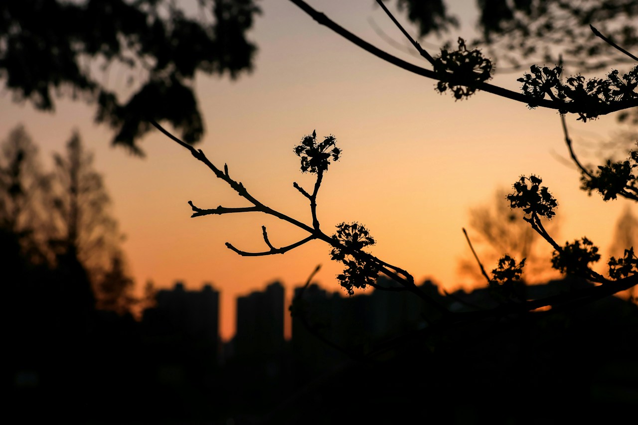 Photo by chanyeong