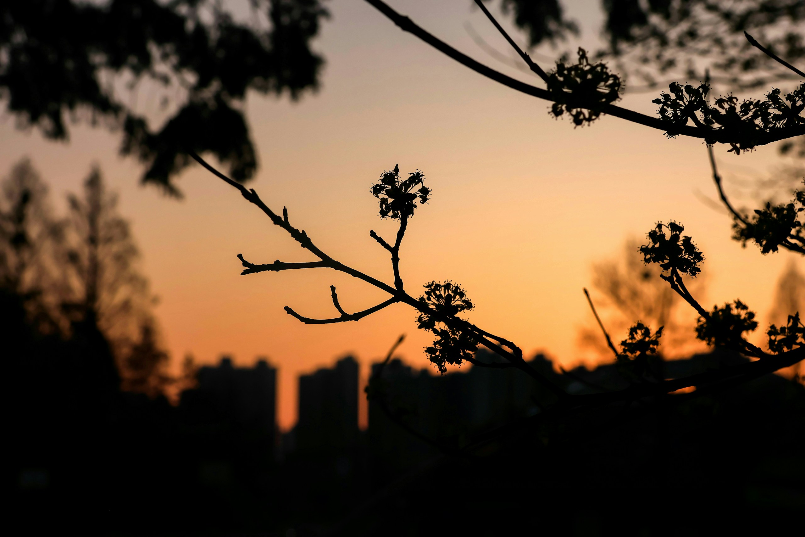 2026-05-find-new-pieces-spring-image-12