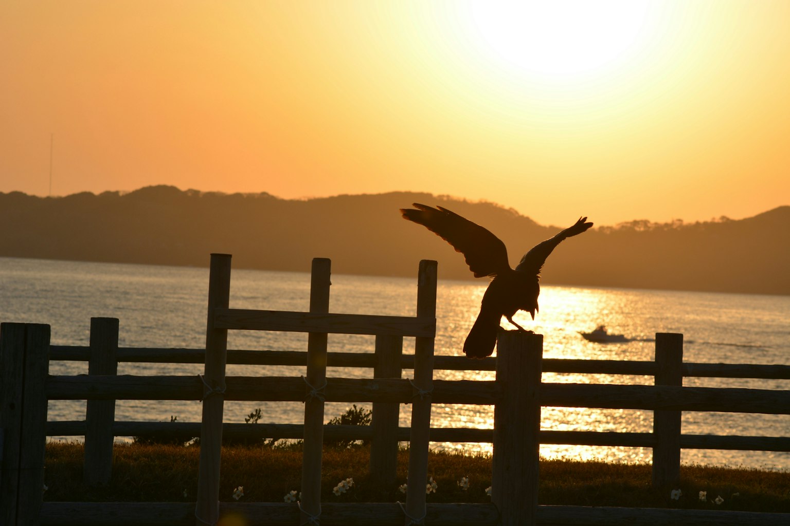 2025-04-oshanpo-image-5