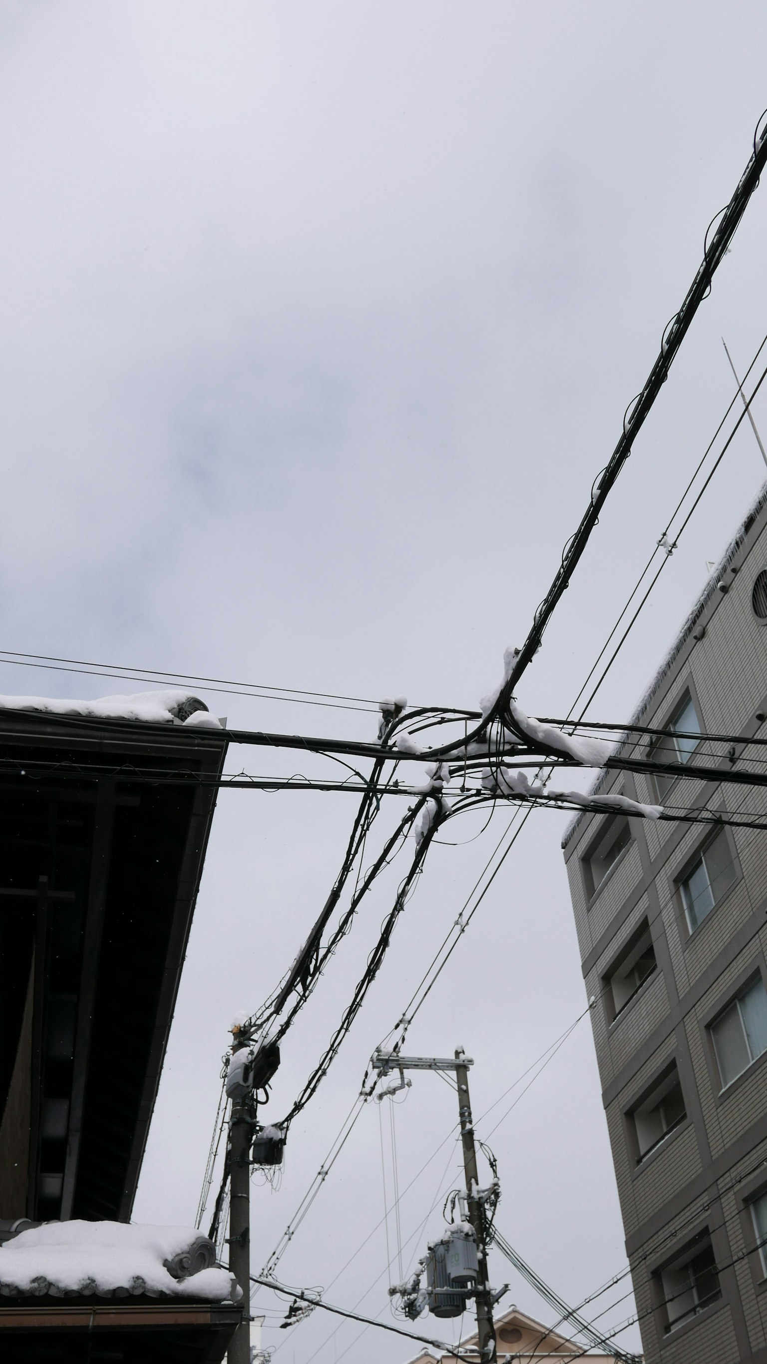 2023-12-meet-hot-kyoto-award-image-9