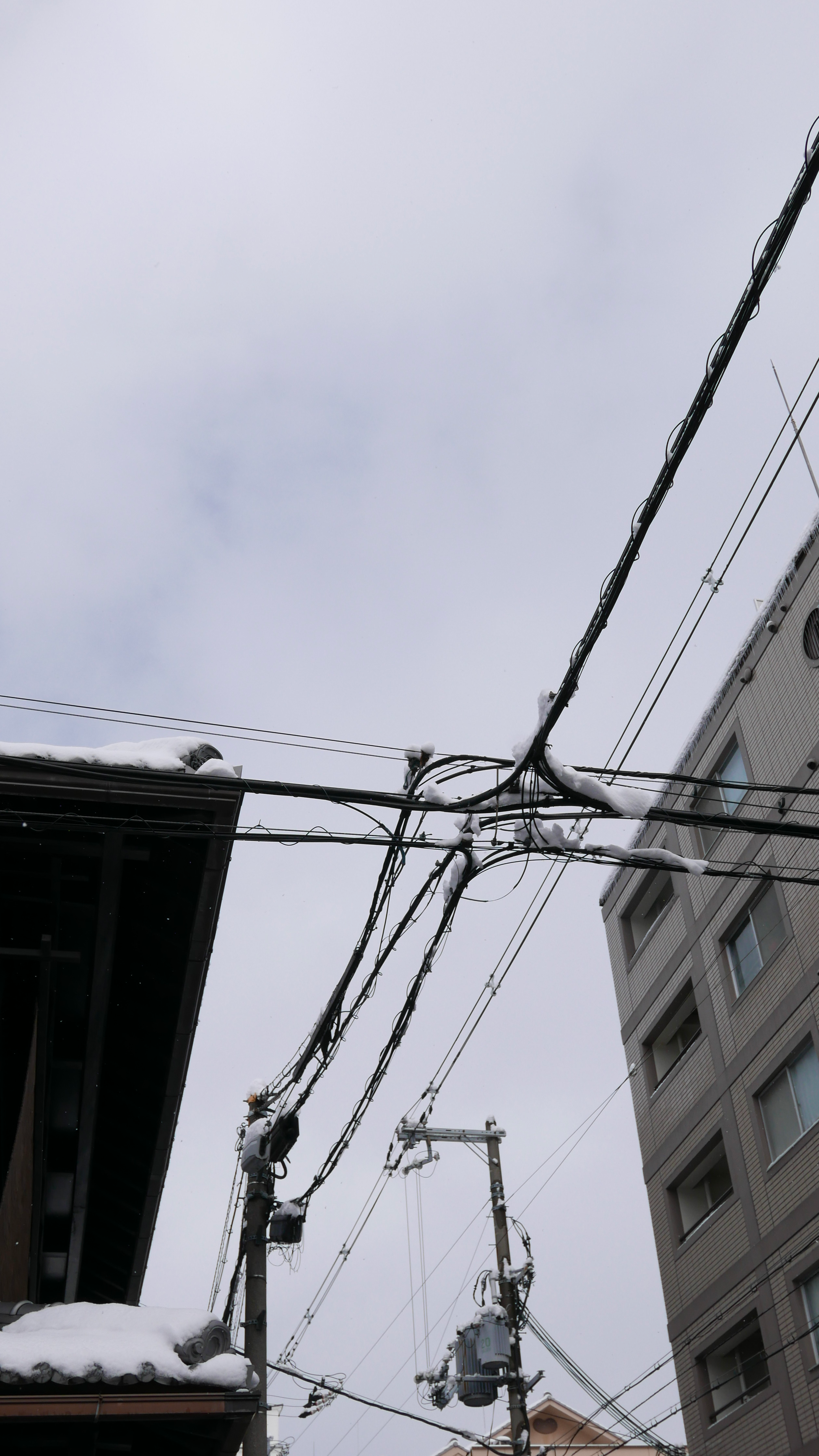 2023-10-meet-hot-kyoto-image-10