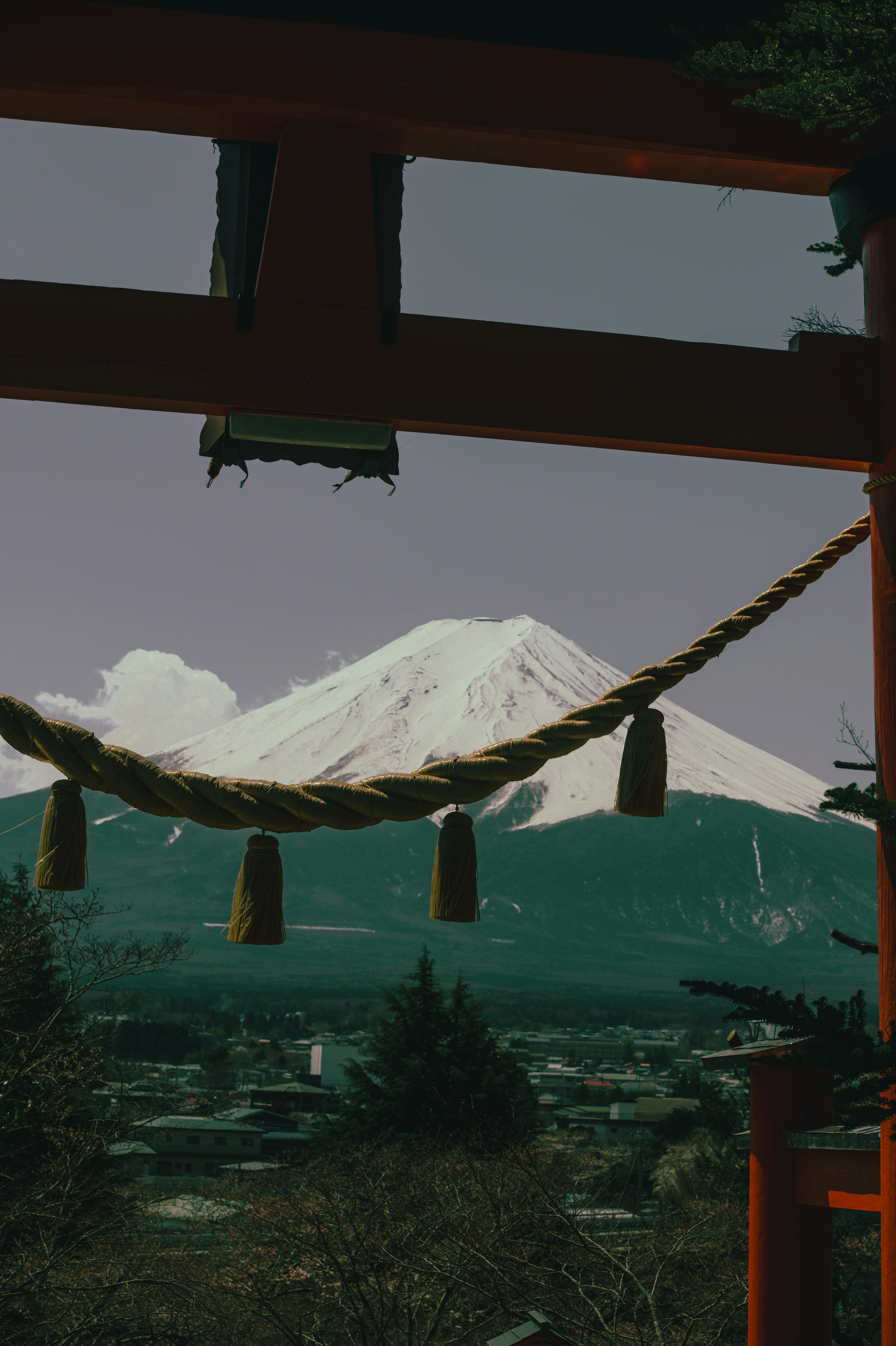 Photo by Rinoha