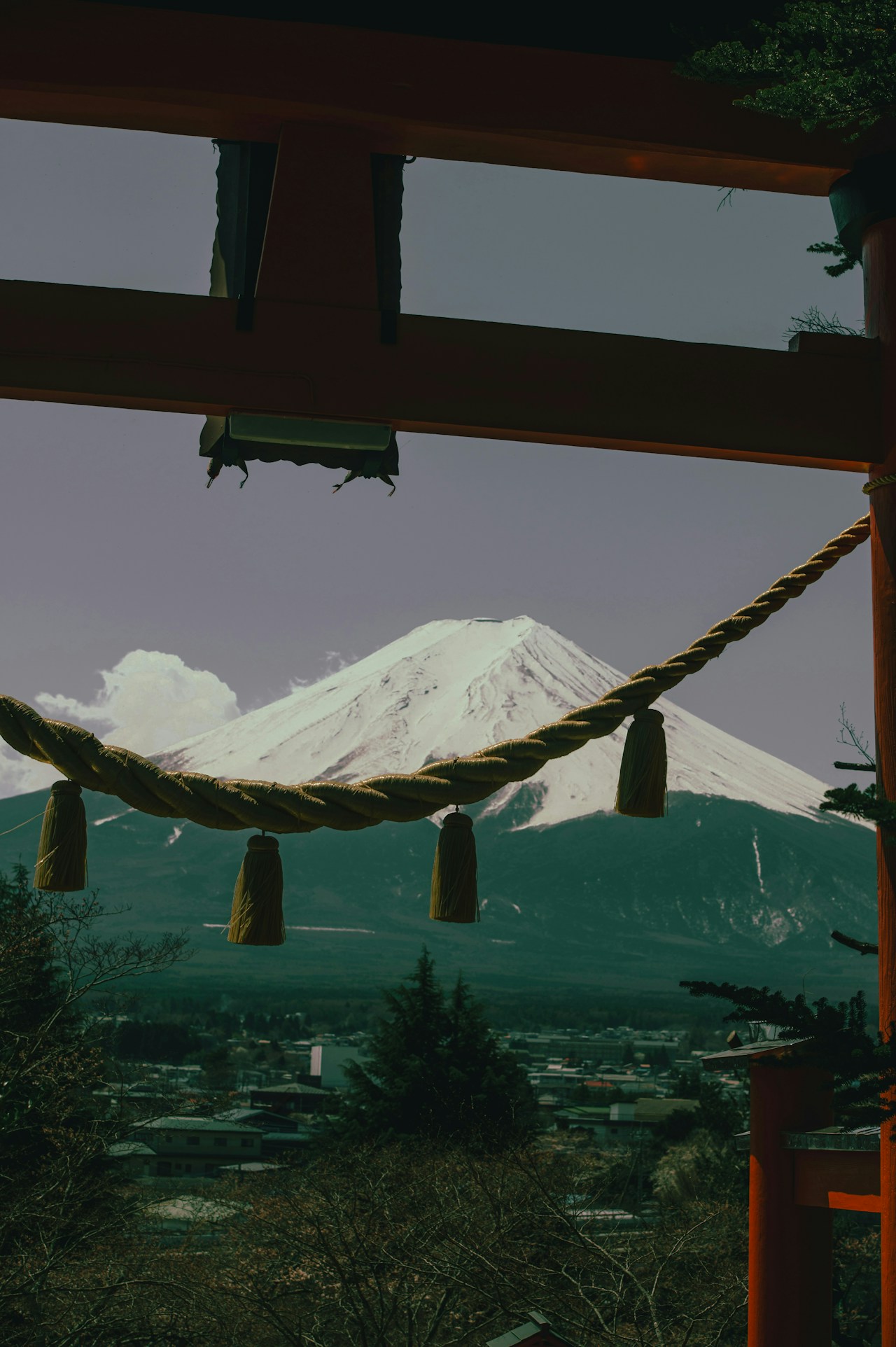 Photo by Rinoha