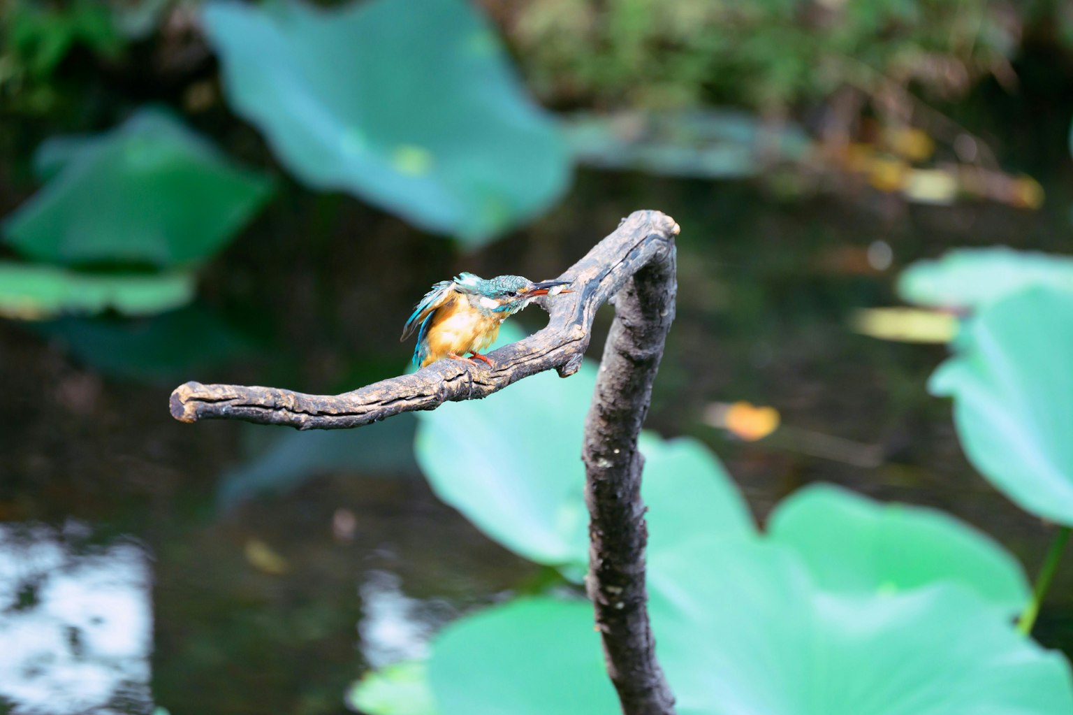 2025-11-camera-connects-people-image-8