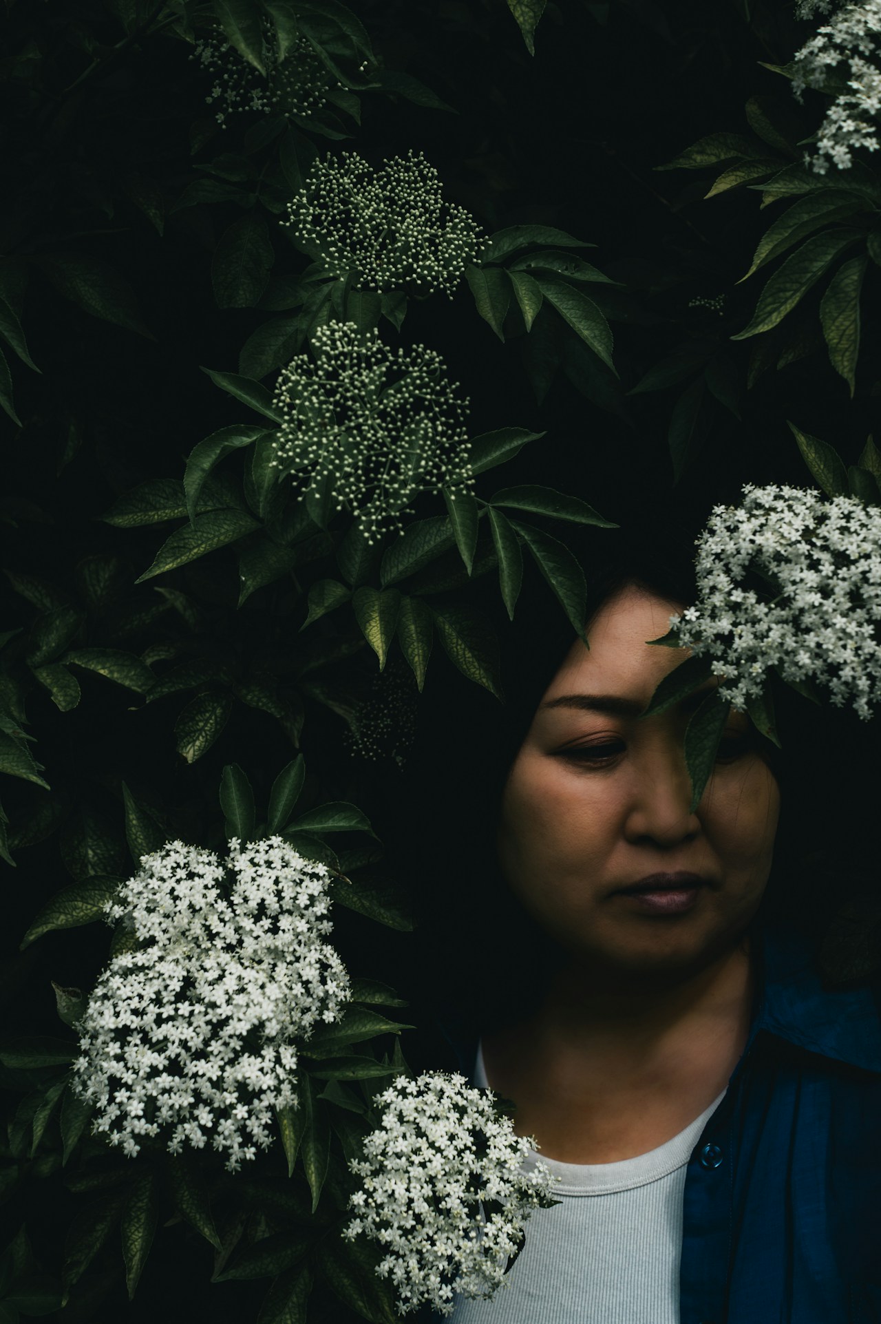 Image by daphoto