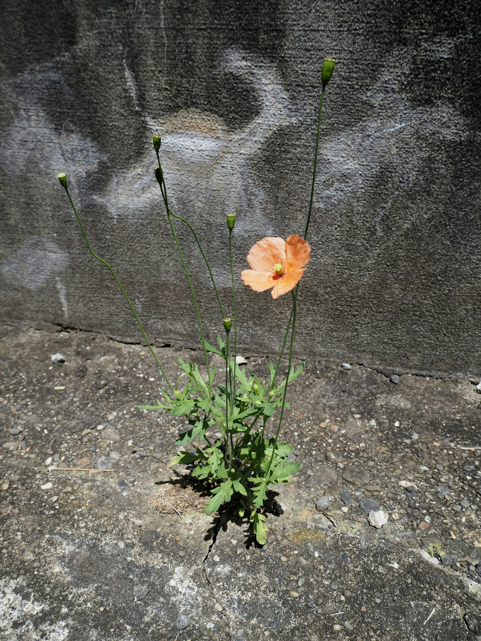 2025-09-photography-and-forgetting-image-11