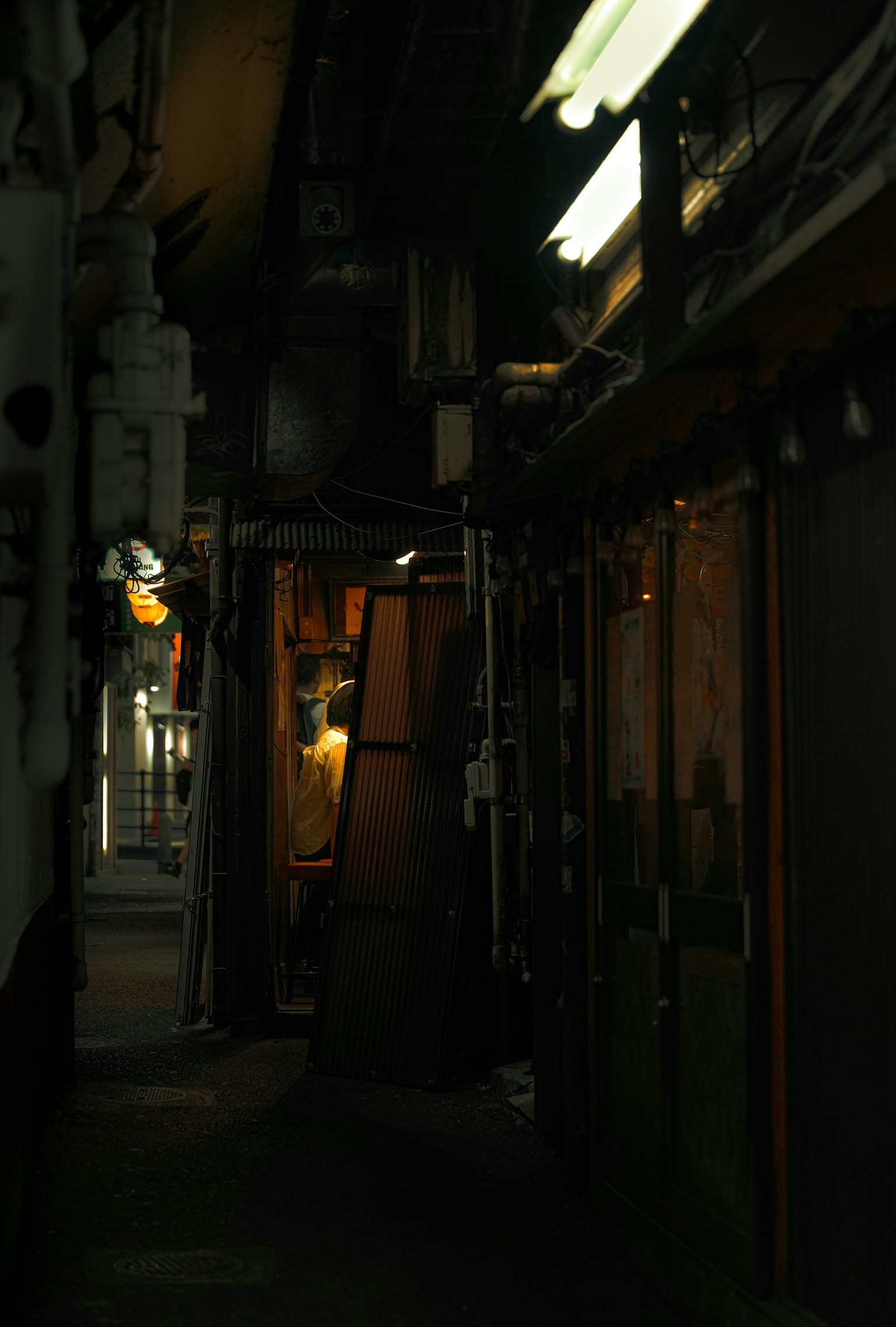 2025-10-pick-up-photos-no-229-233-image-7