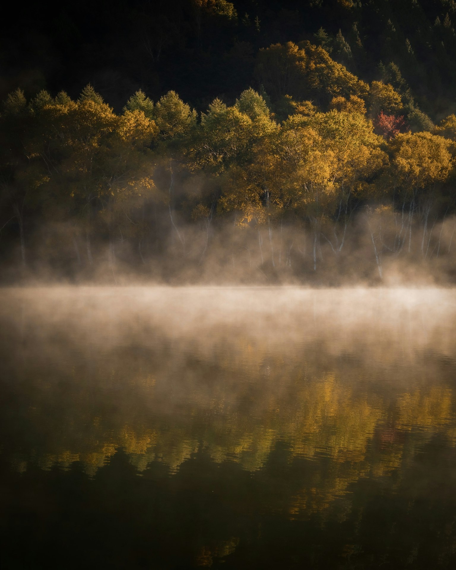 2024-10-fog-photography-image-9