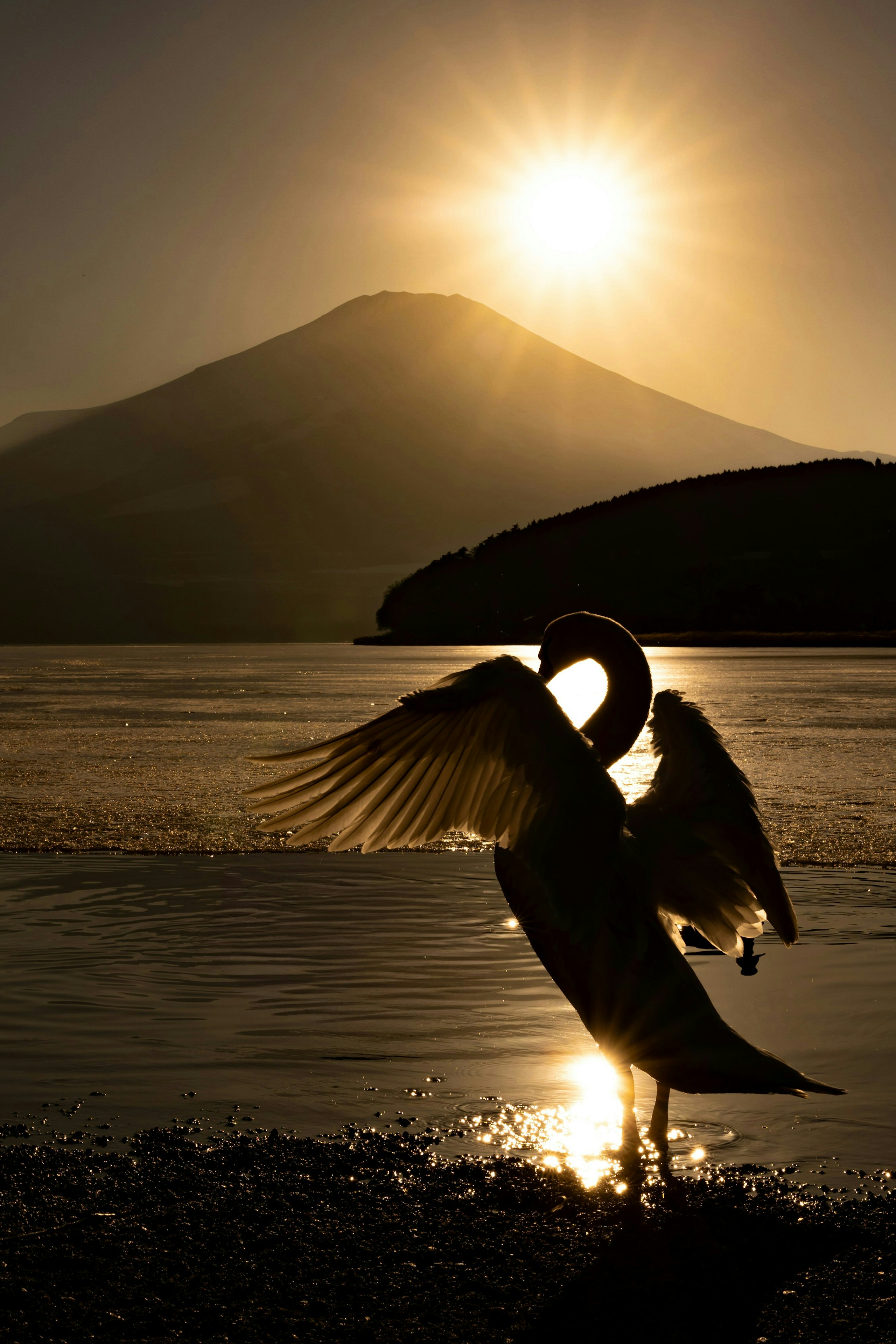 2026-01-newyear-image-4