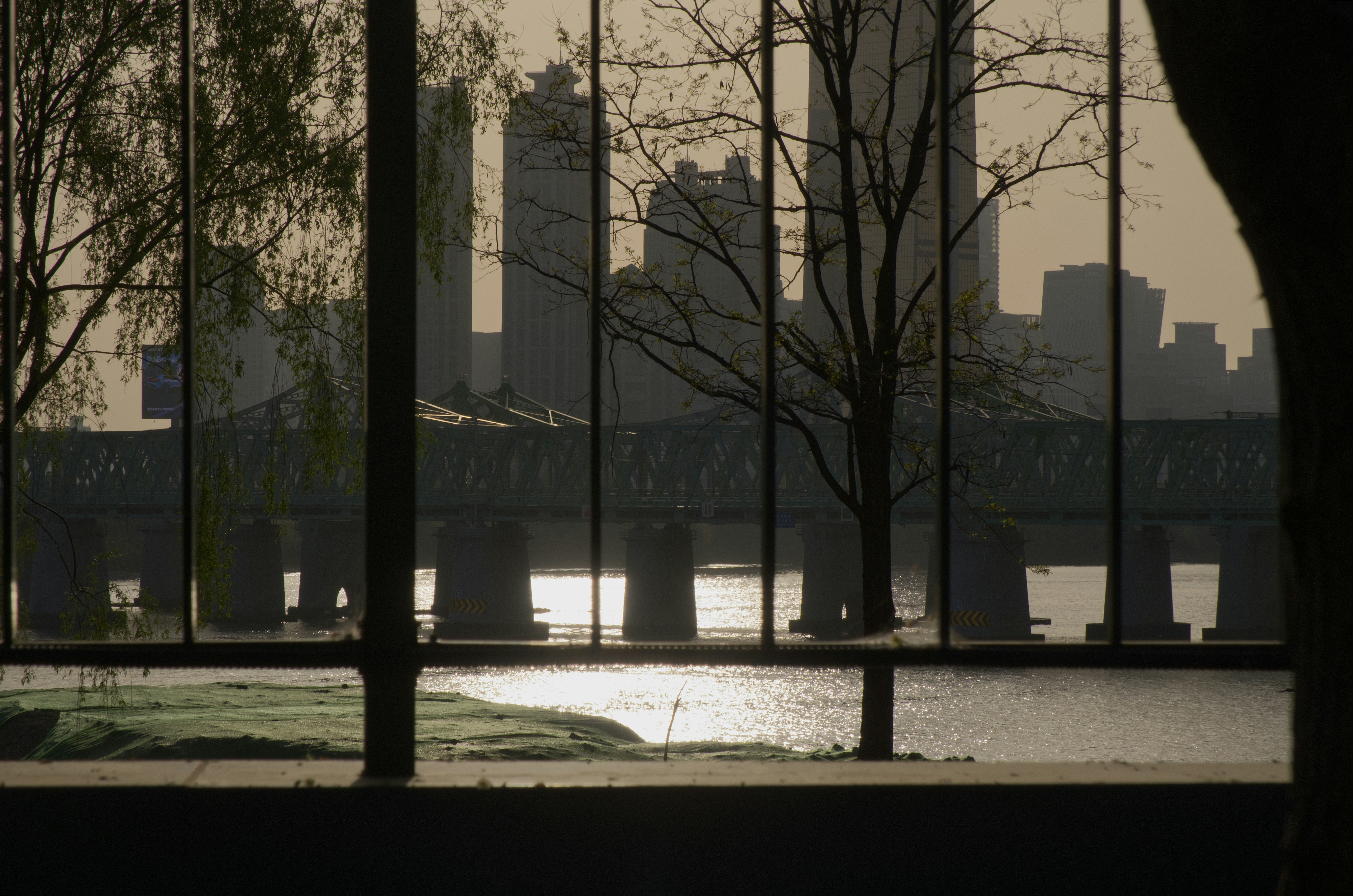 2026-05-scenery-of-that-day-once-more-image-8