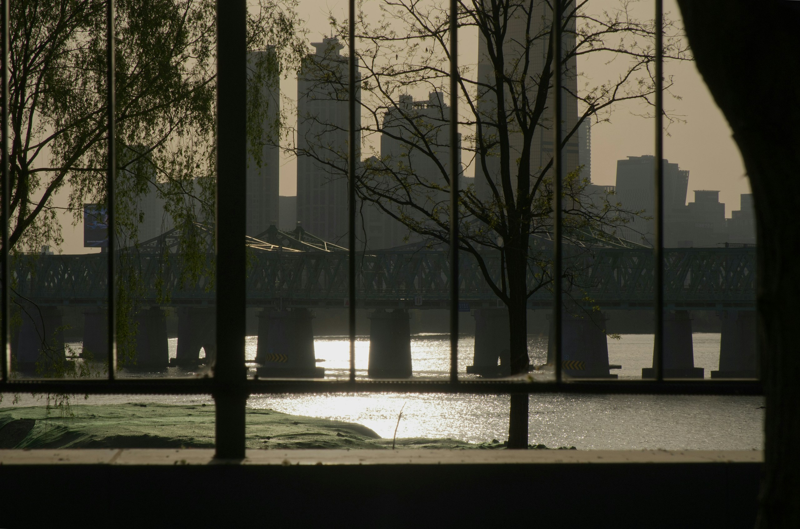 2026-05-scenery-of-that-day-once-more-image-8