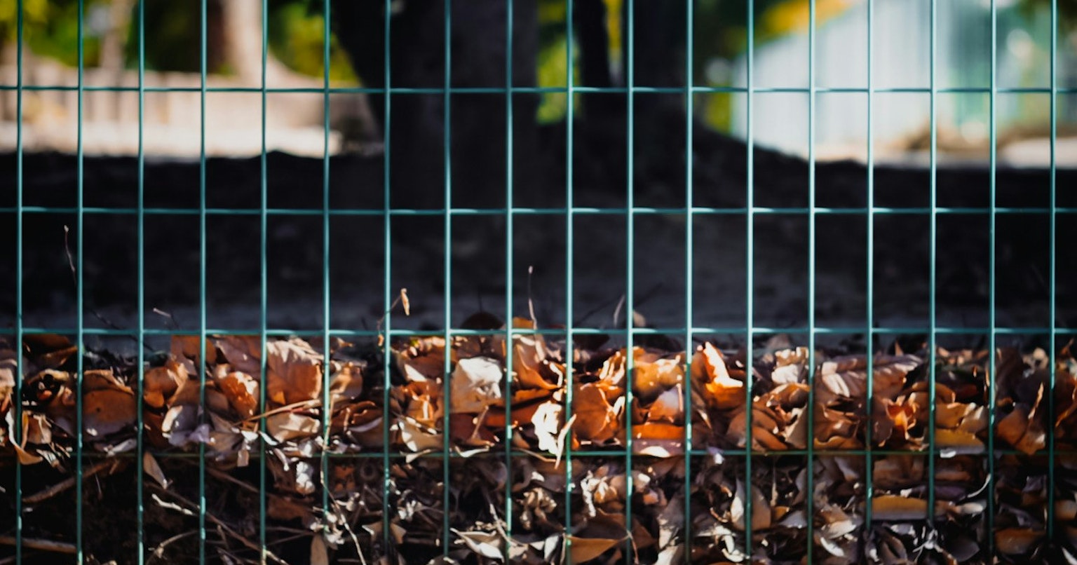 2024-12-amazon-nova-cover-image