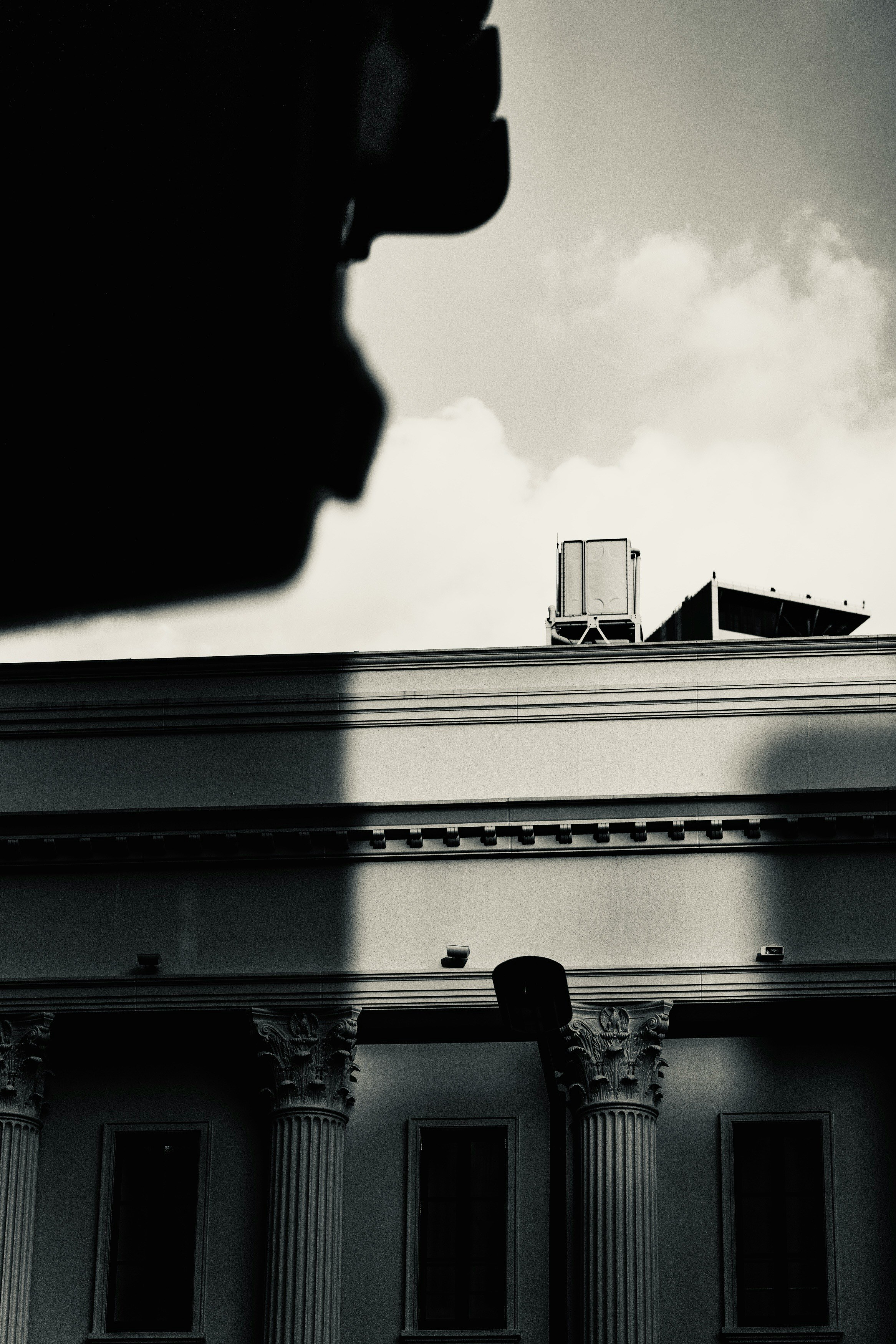 Image by the Oji brown