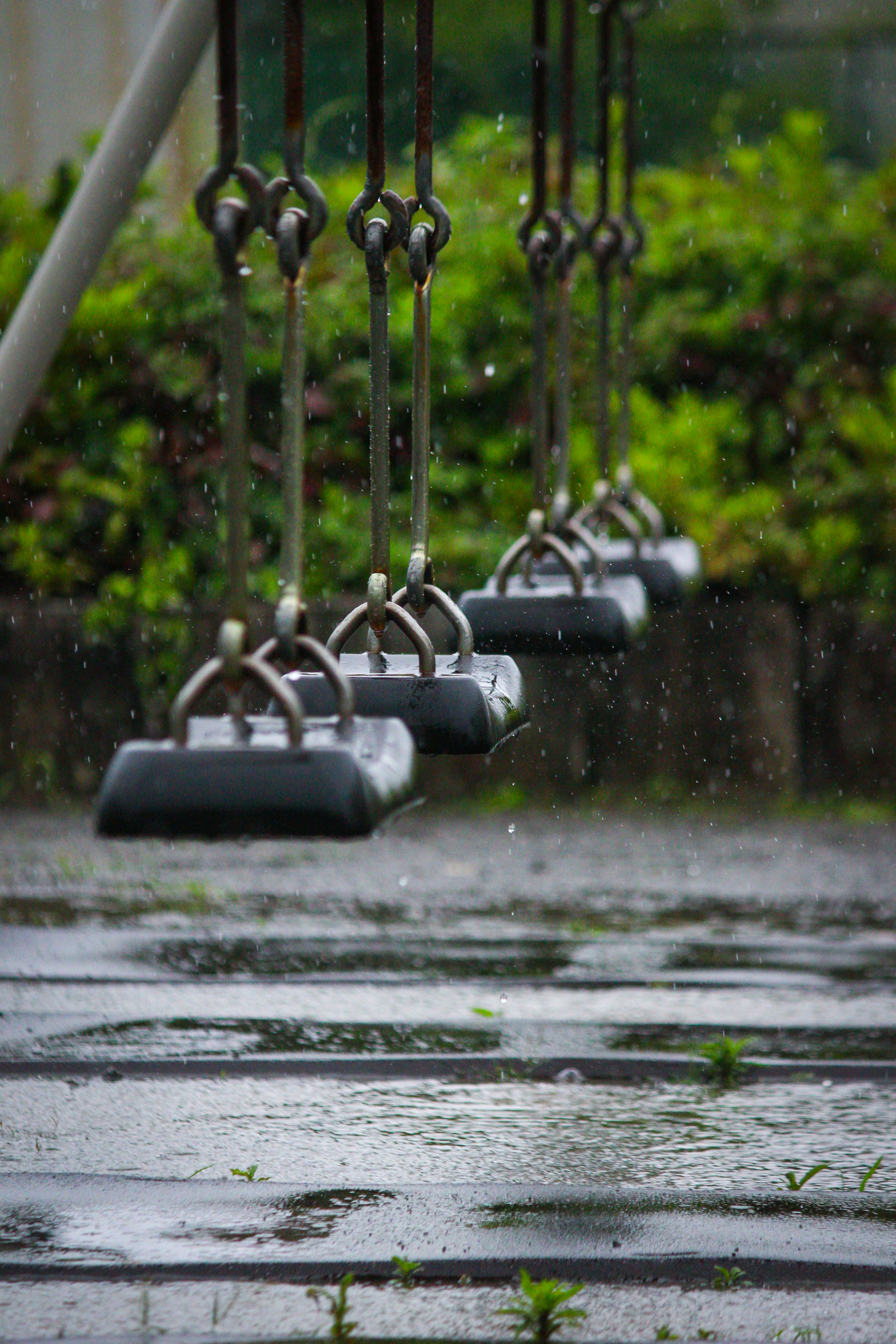 2026-07-in-the-rain-award-image-8