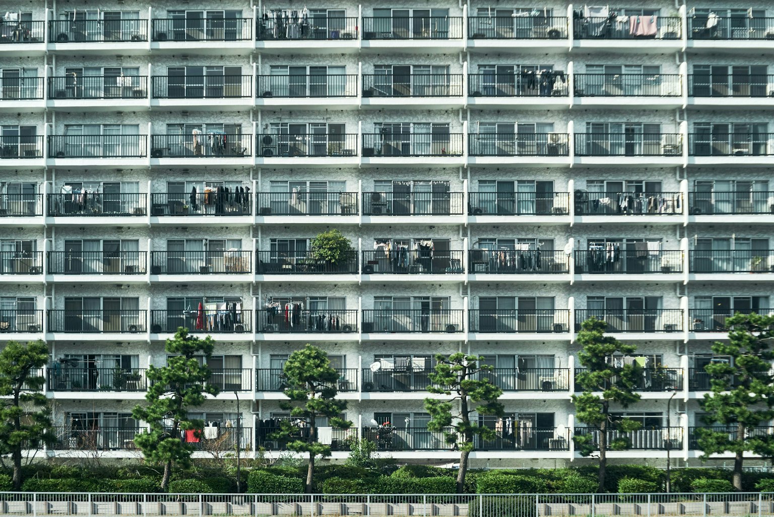 2025-04-pick-up-photos-no-94-98-image-3