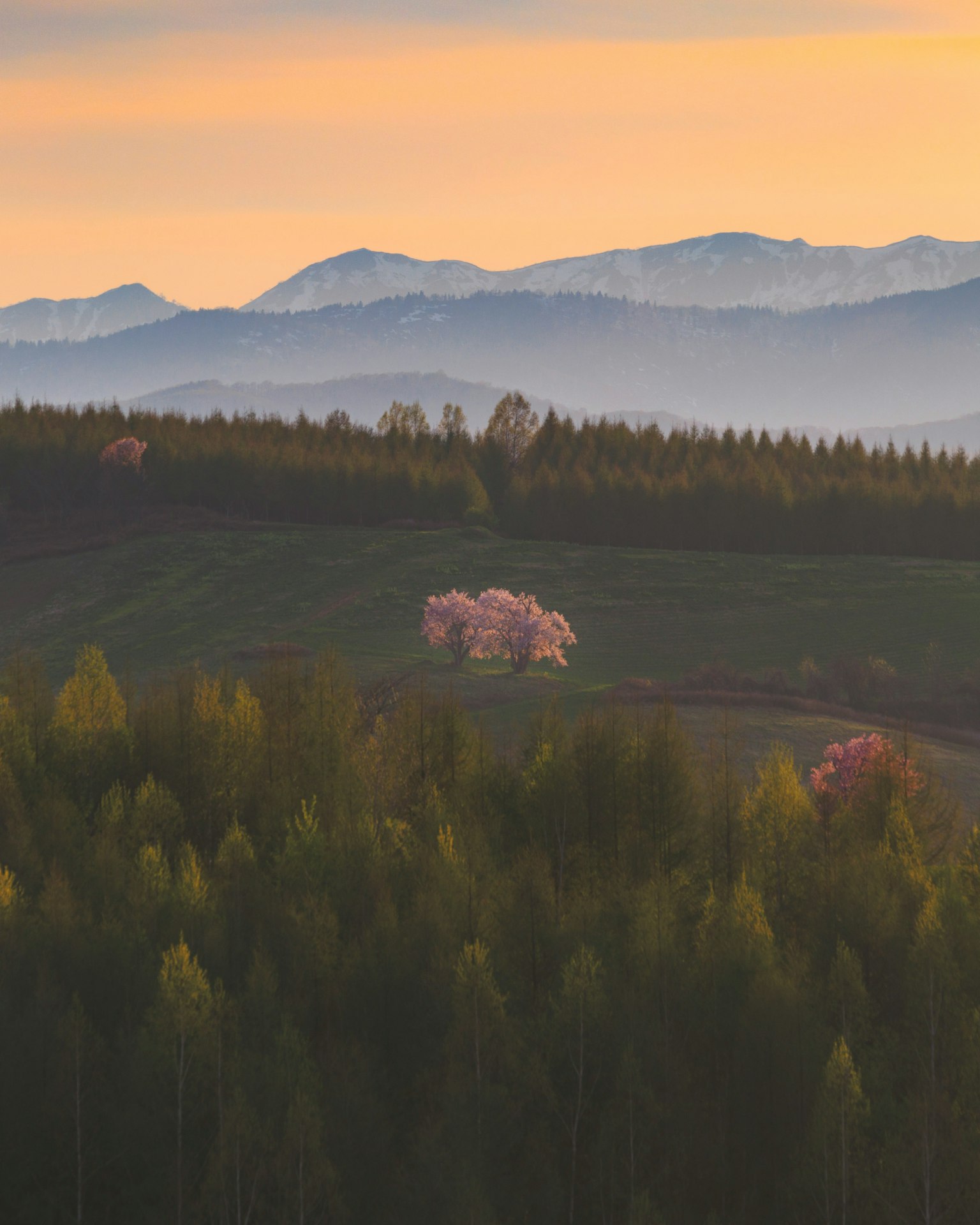 2025-04-photo-contest-pr-1-image-29