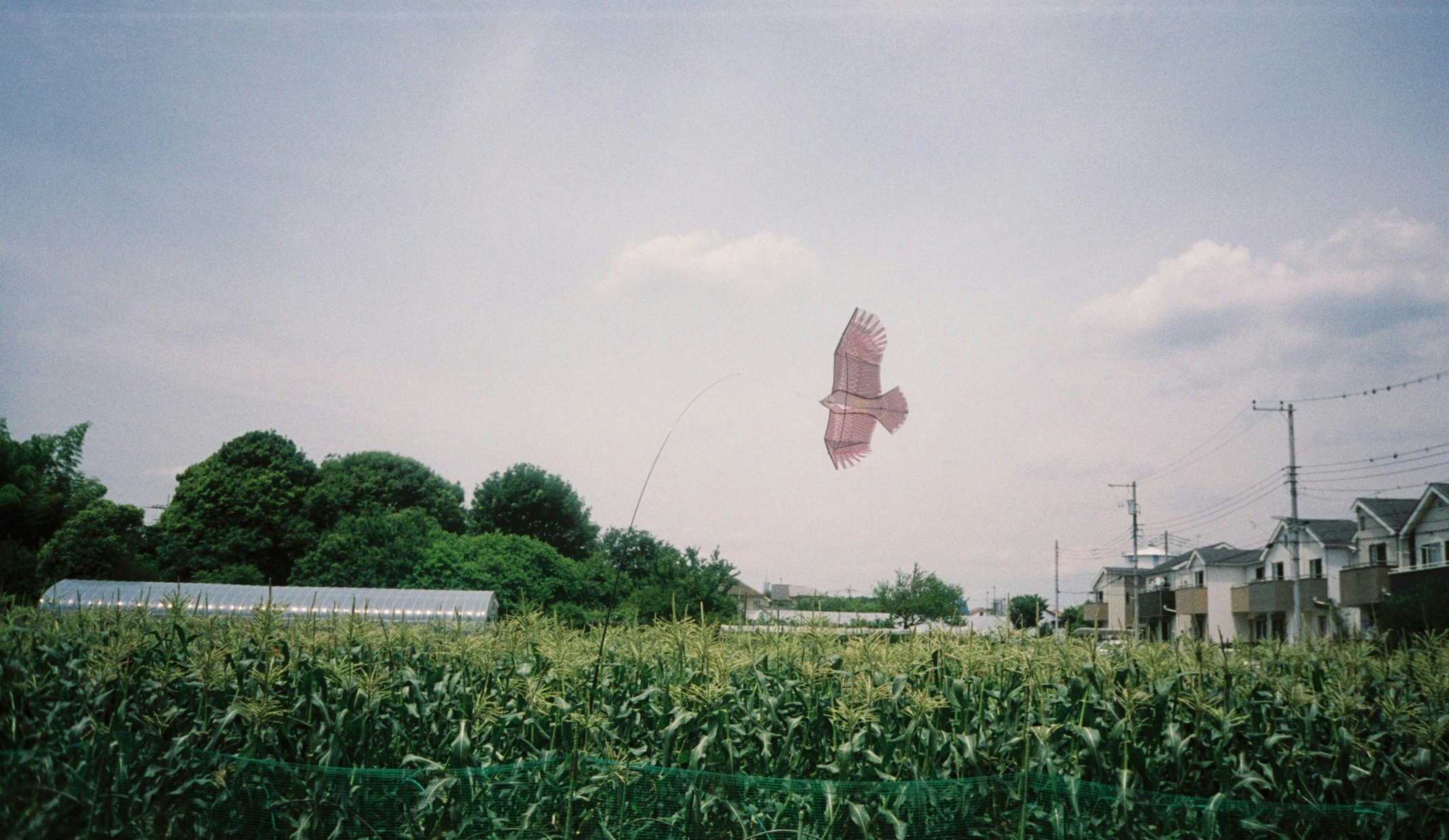 2026-07-west-tokyo-by-takaomikim-image-7