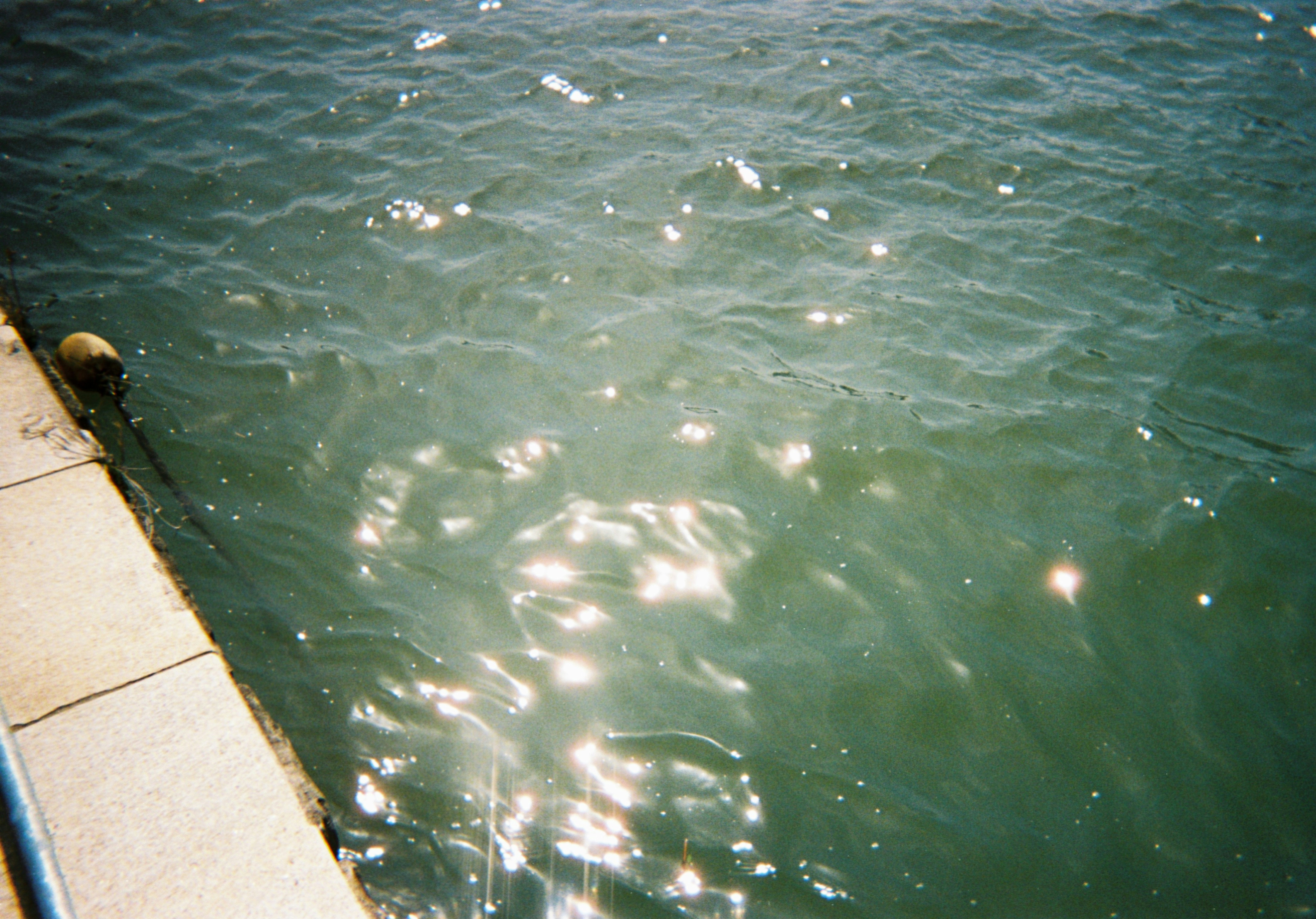 2026-08-understated-film-photography-by-mira-image-11