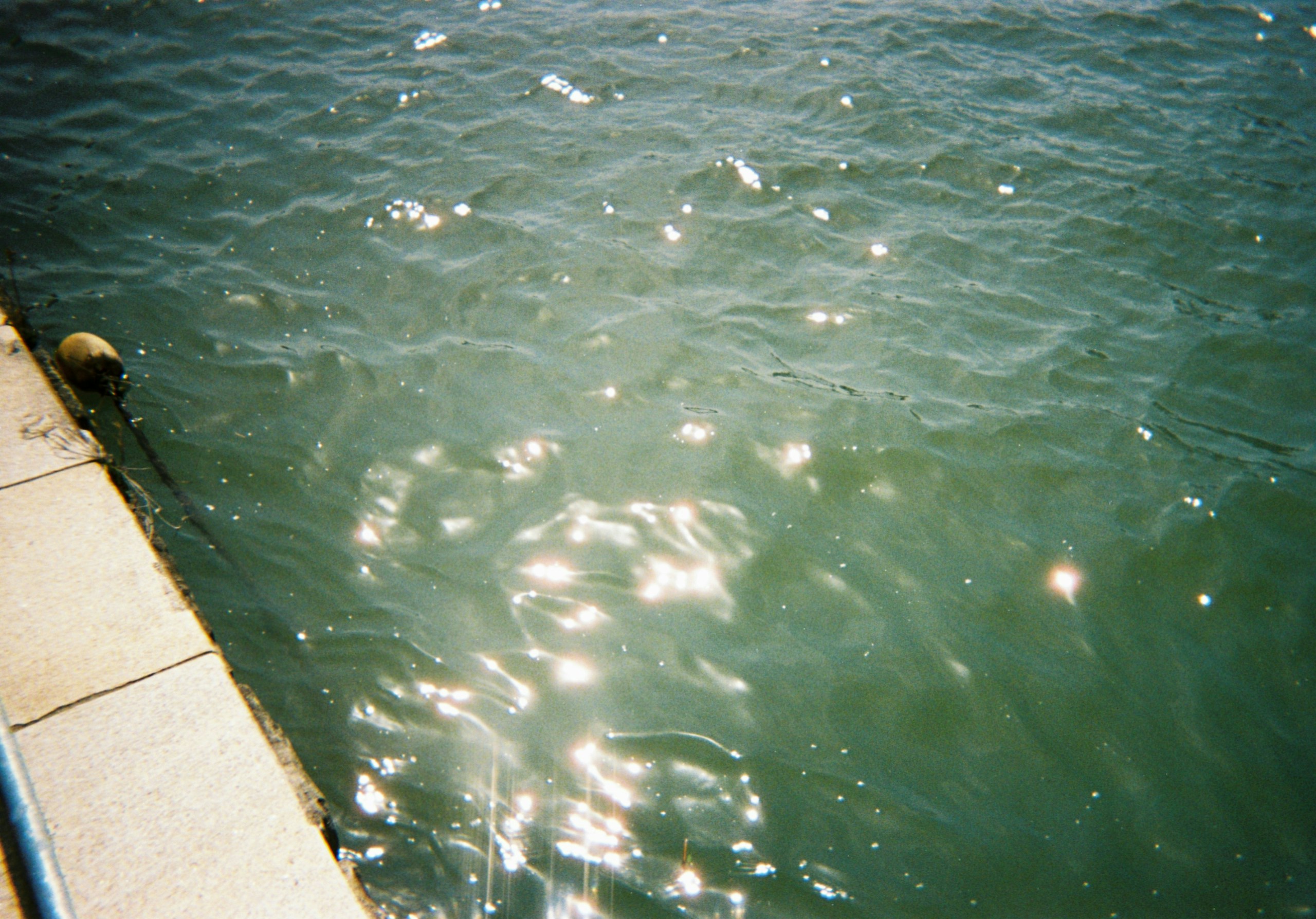 2026-08-understated-film-photography-by-mira-image-11