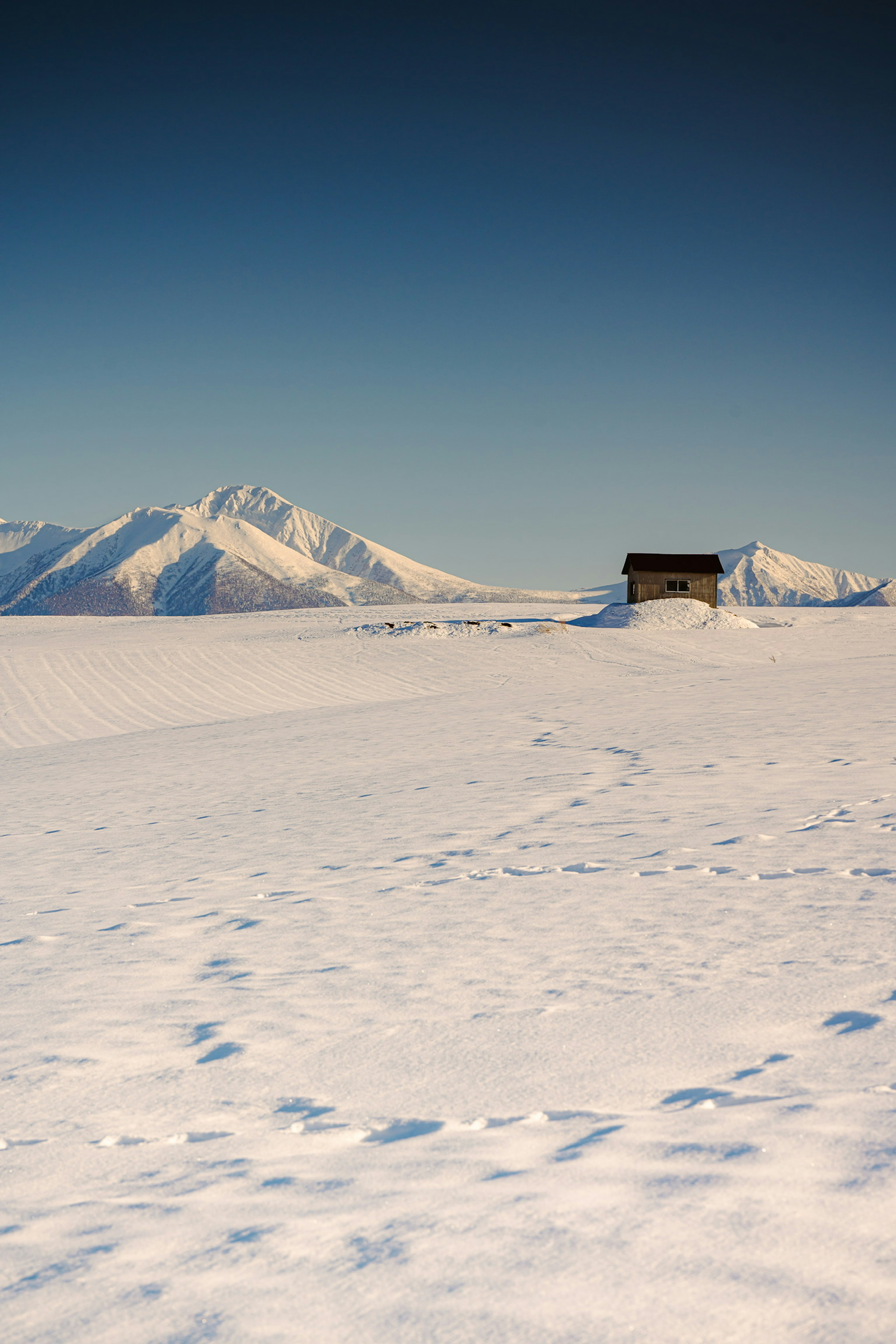 2024-04-hokkaido-2-image-8