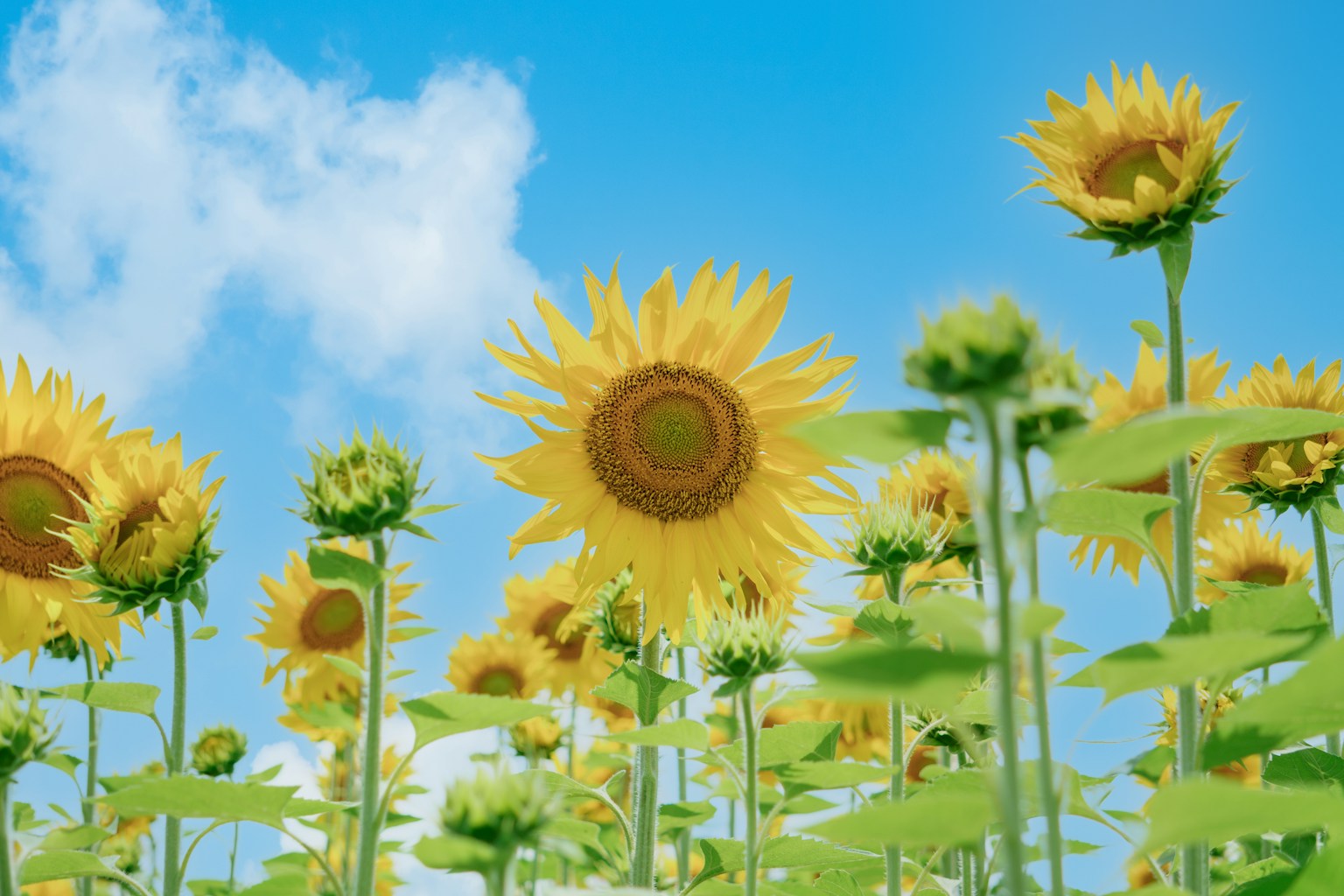 2024-04-symbols-around-us-image-7