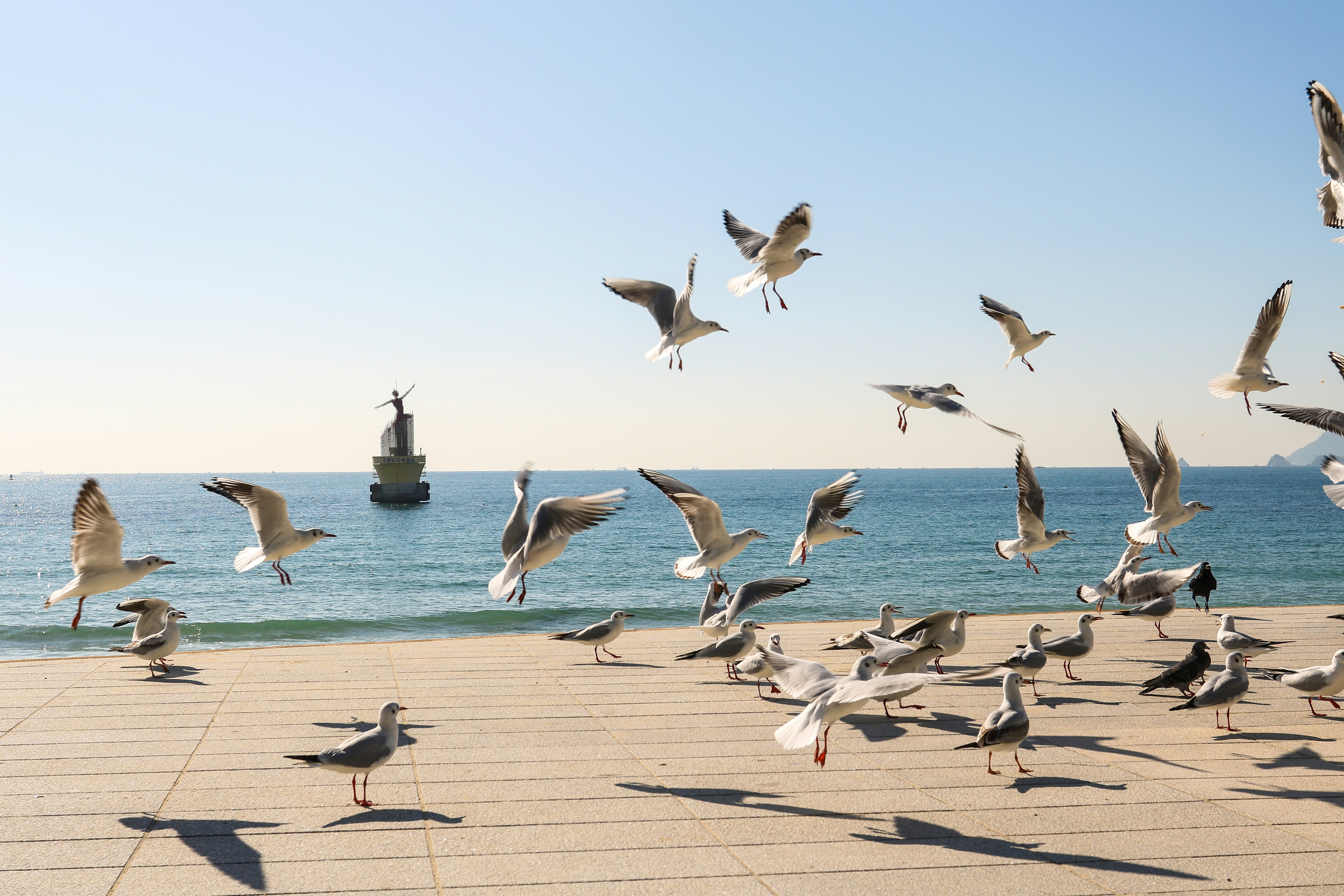 2026-02-ppp-in-busan-cover-image