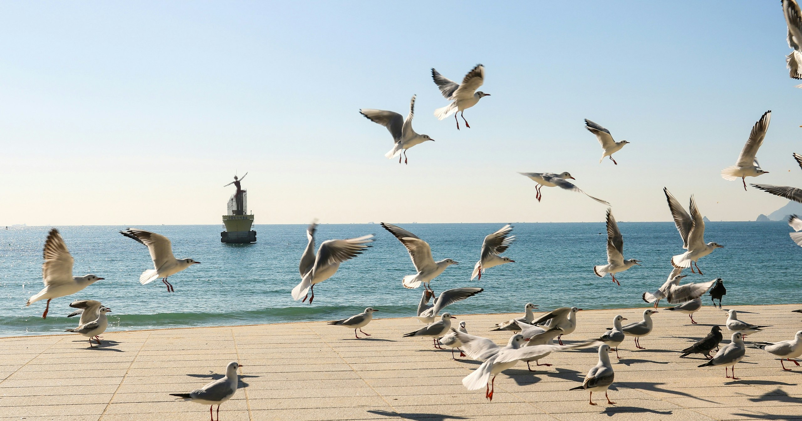 2026-02-ppp-in-busan-cover-image